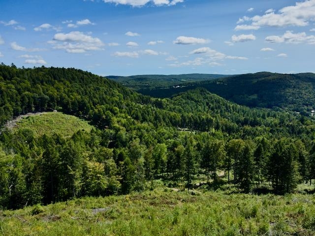 Views and house sites