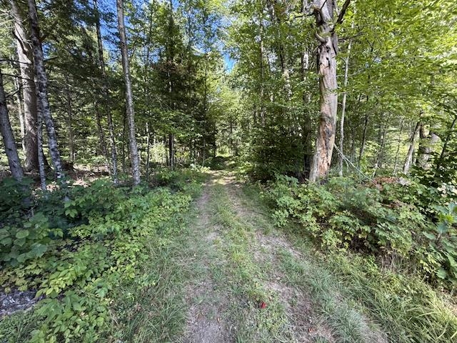 Access to house site 3