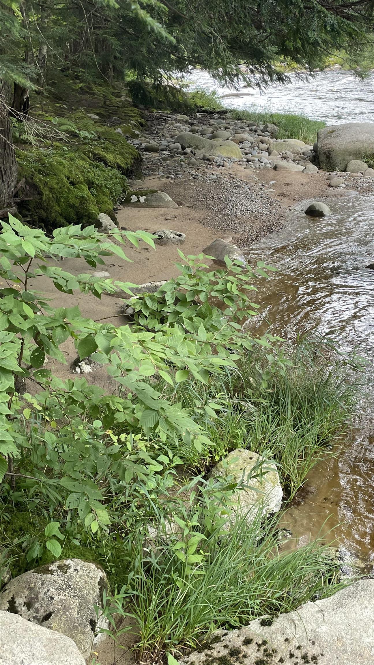 961 Maple St, Bethlehem, NH 03574