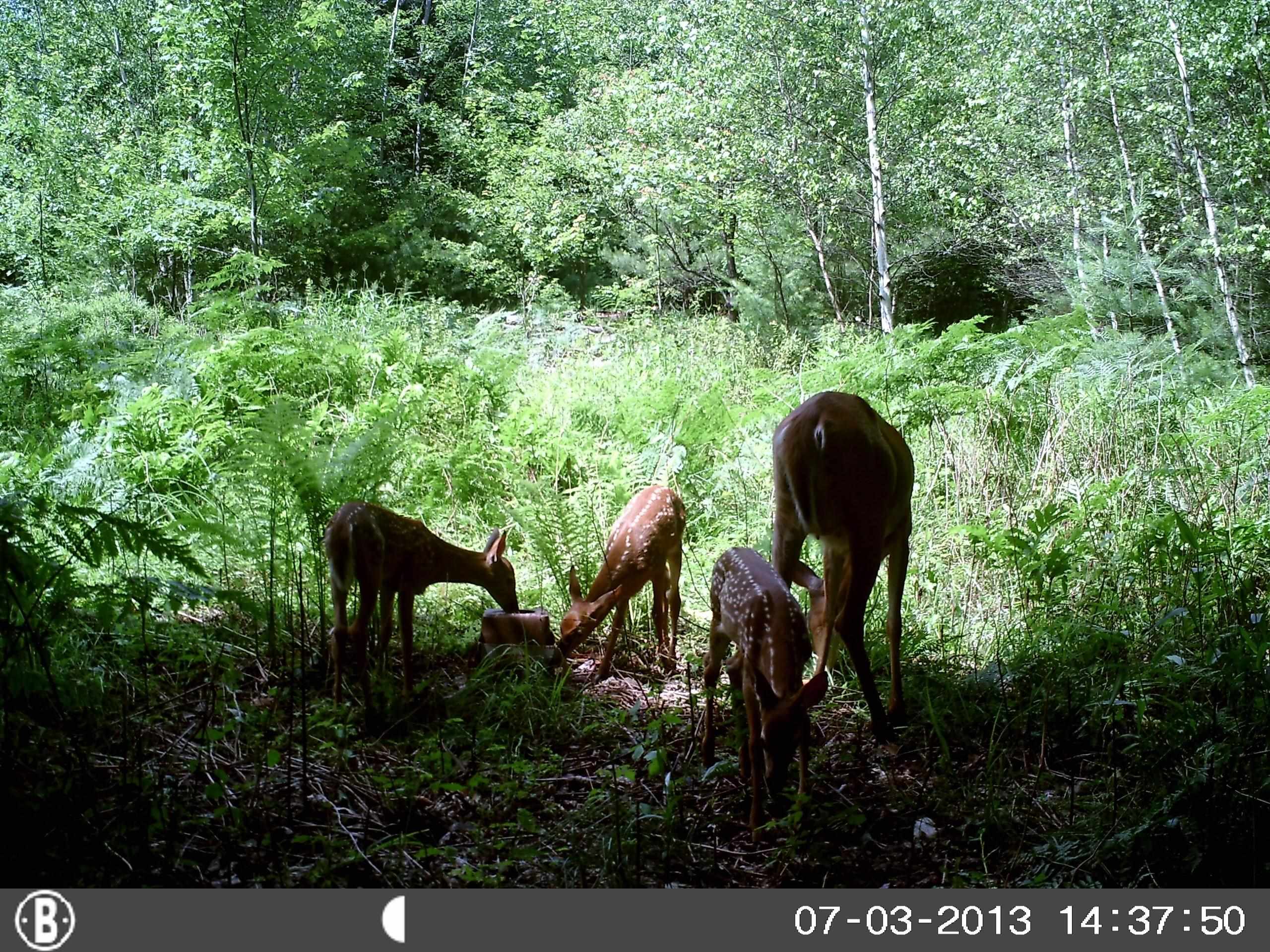 50 Milford Avenue — photo 3