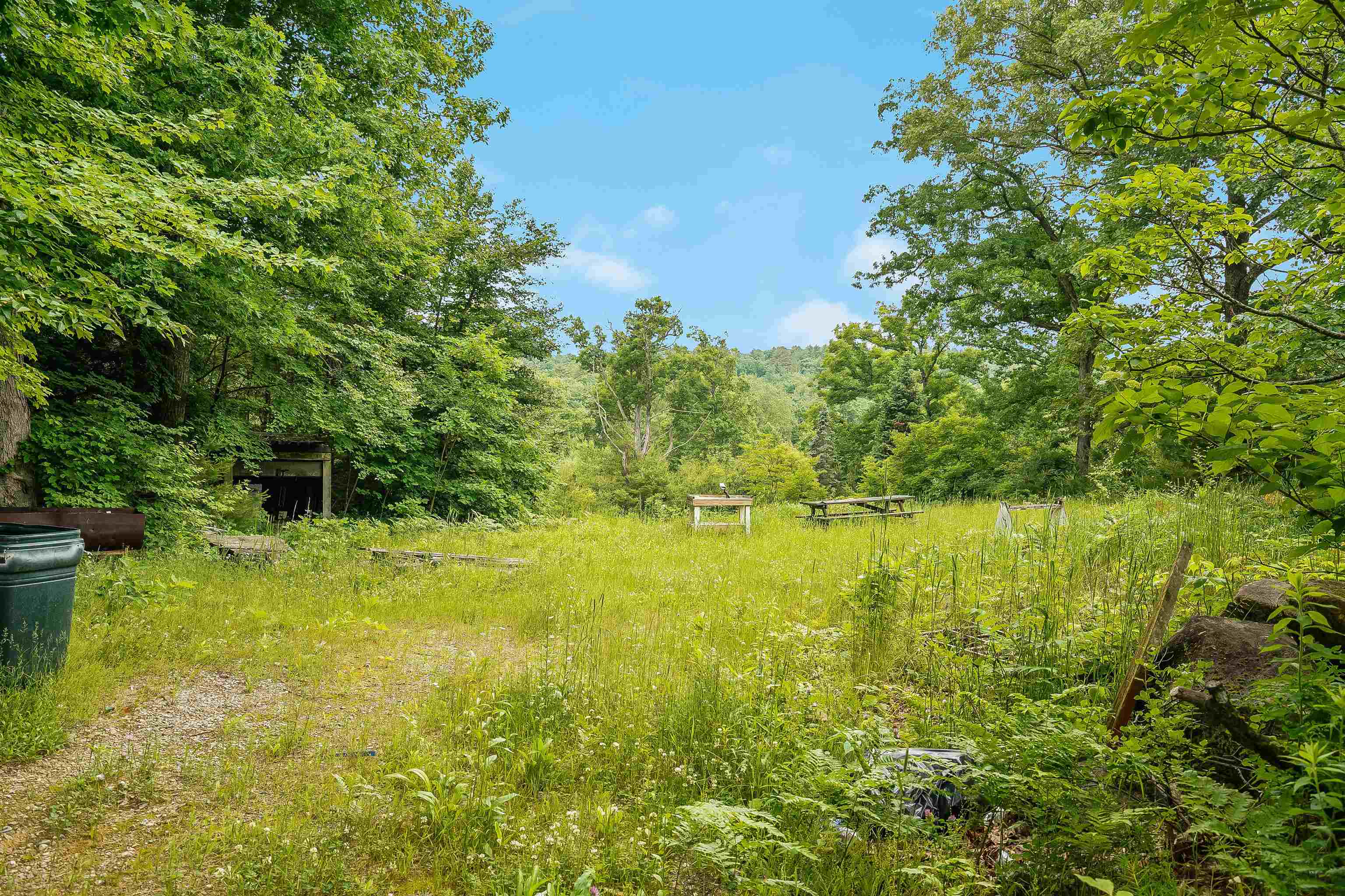 231 Mutton Rd, Webster, NH 03303