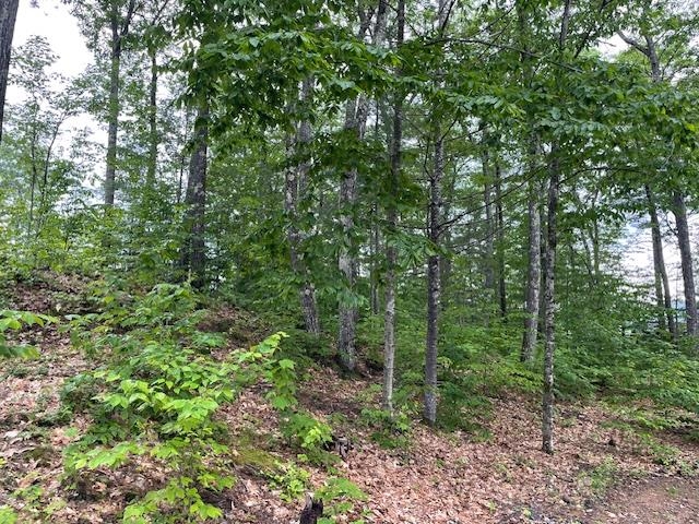 12 Peaked Hill Rd, Ashland, NH 03217