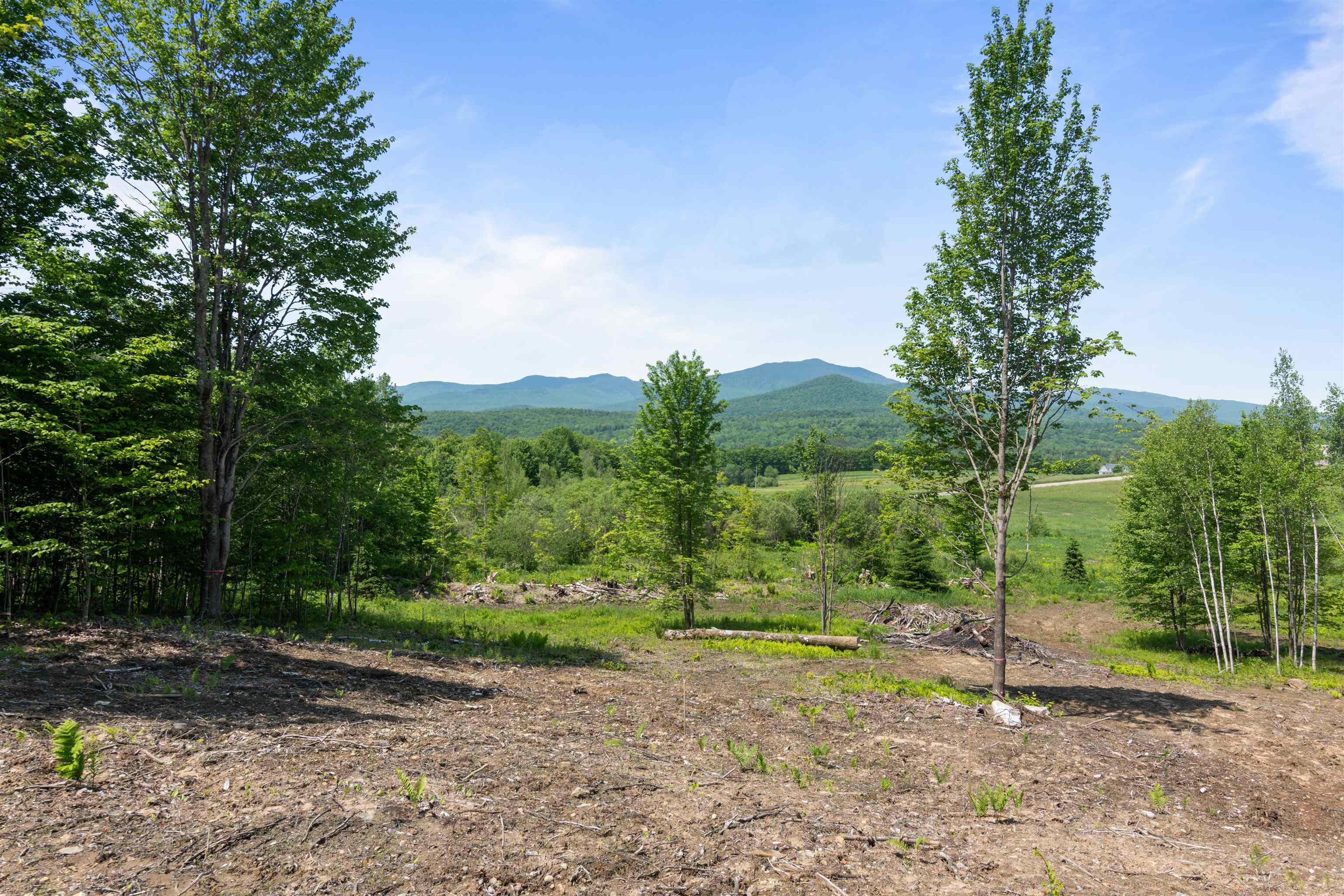 Homes for sale in Morristown, VT | 251 White Birch Rd, Morristown, VT 05661 | MLS# 5048065