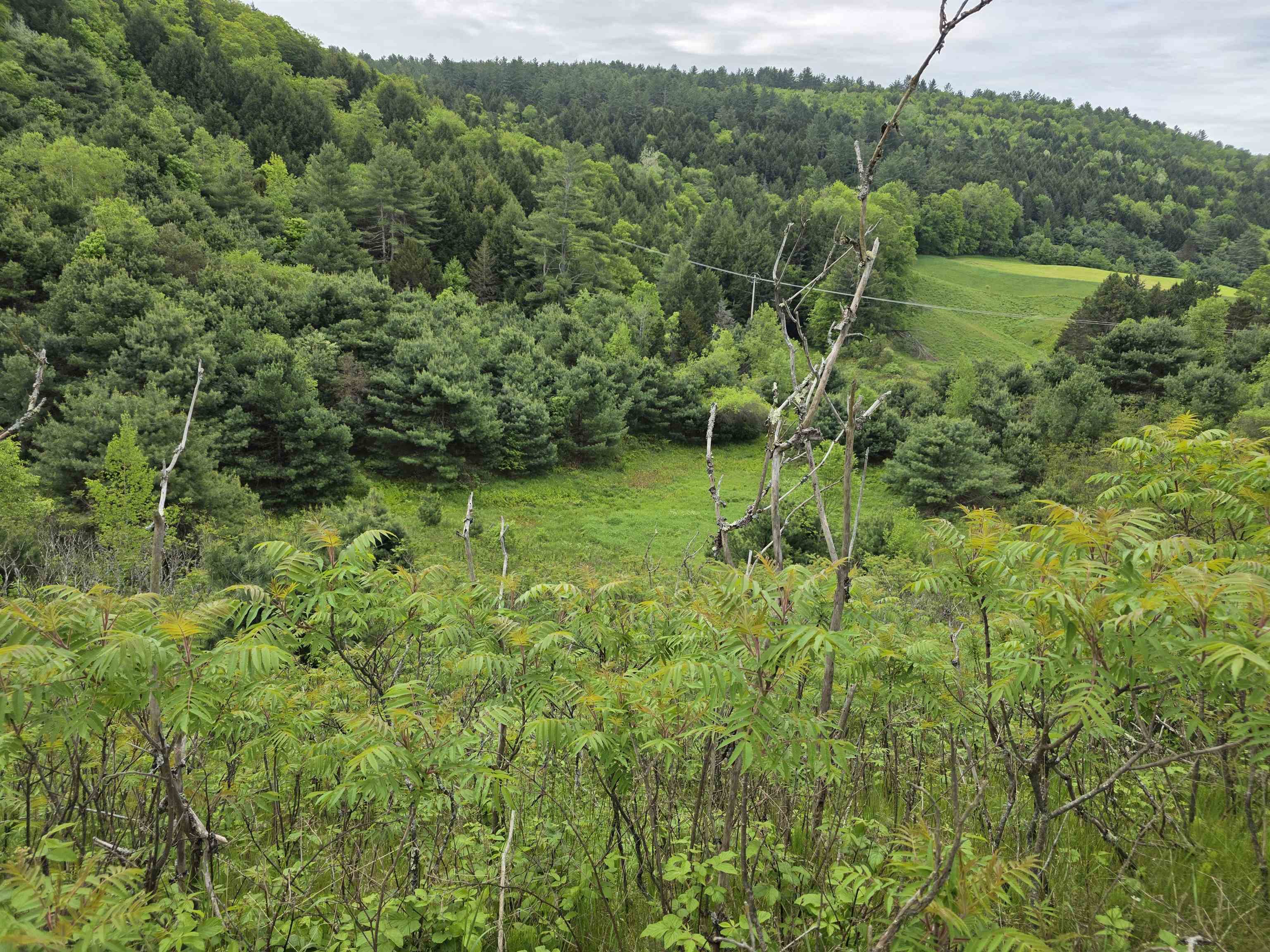 Vt Route 14 South, Randolph, VT 05060