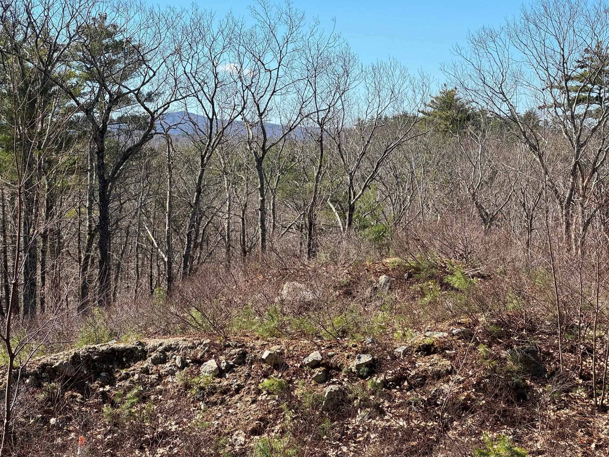 Filtered Horizon View from the Cellar Hole