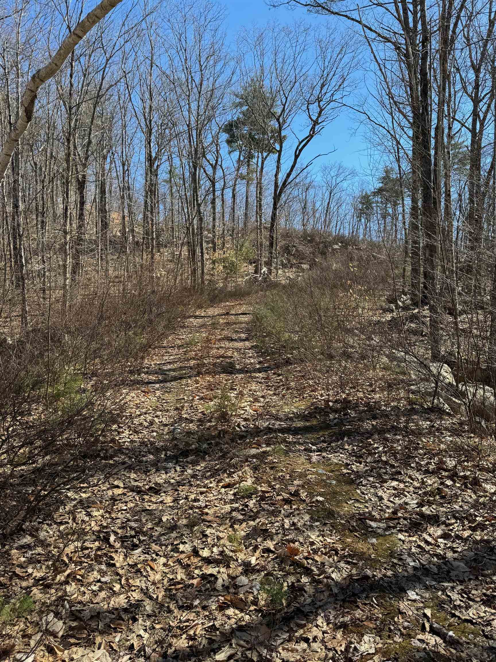 The driveway rises towards the back of the lot.