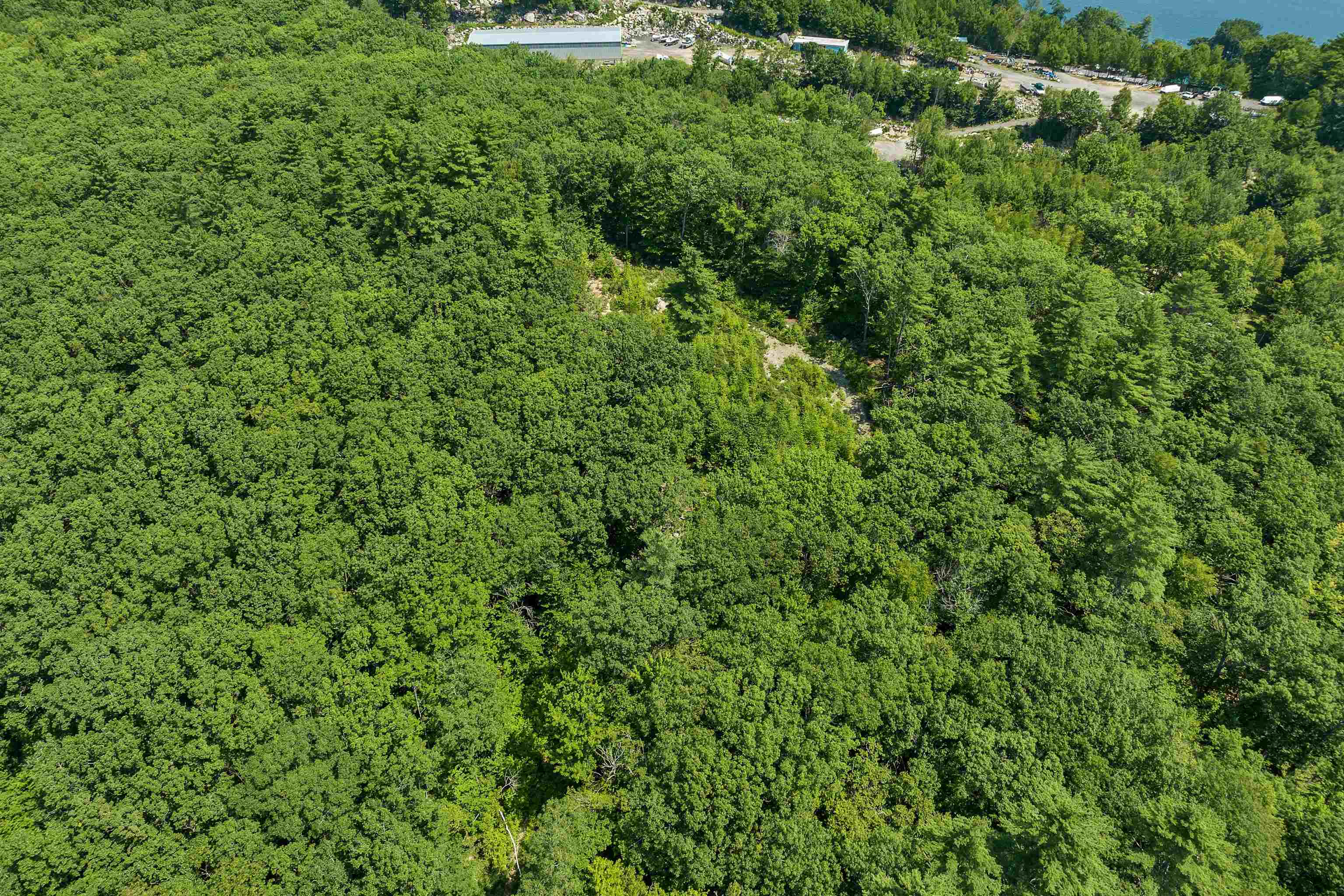 There is a Cellar Hole excavated at the Height of Land