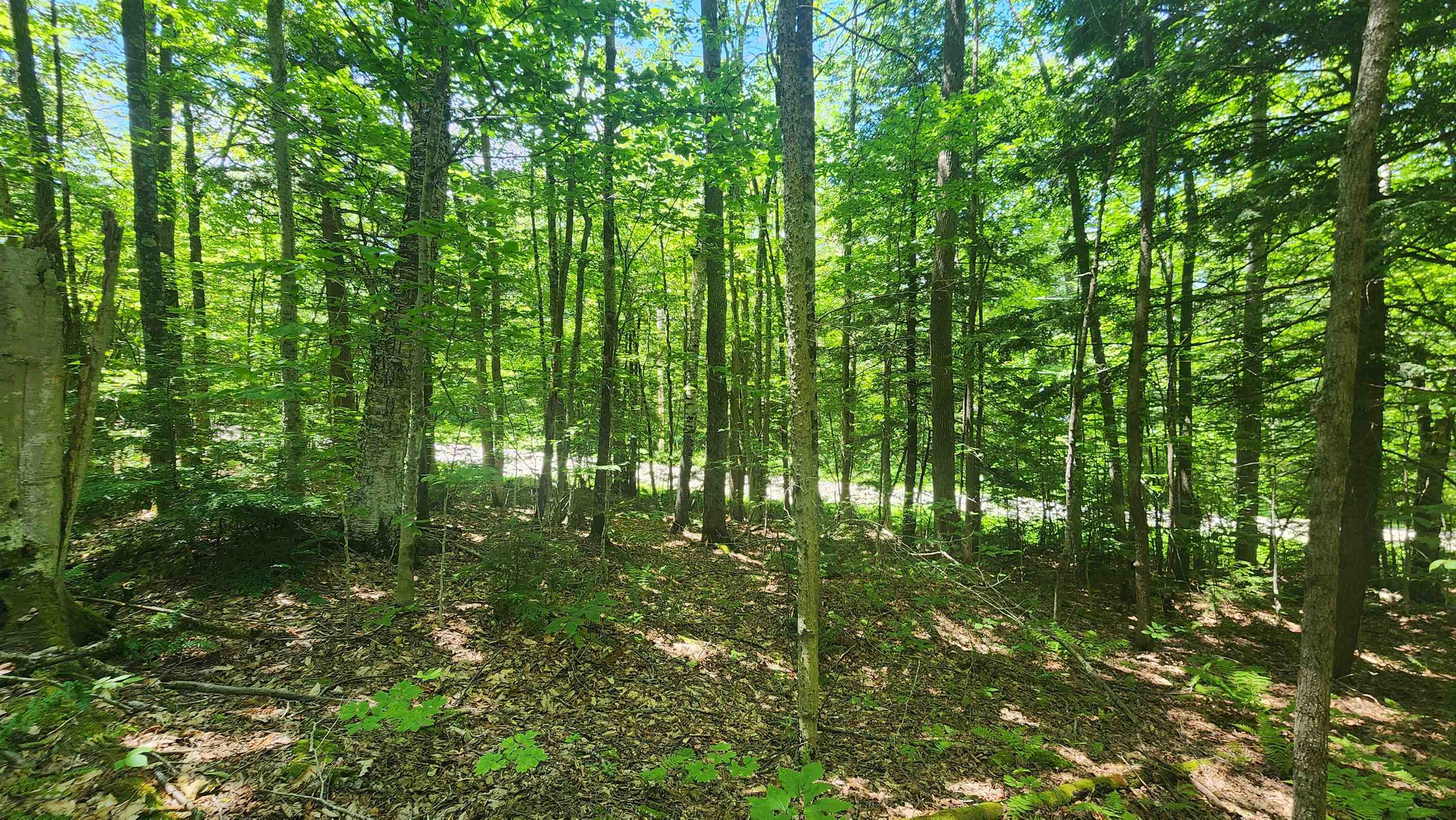 00 Hillcrest Rd, Andover, VT 05143