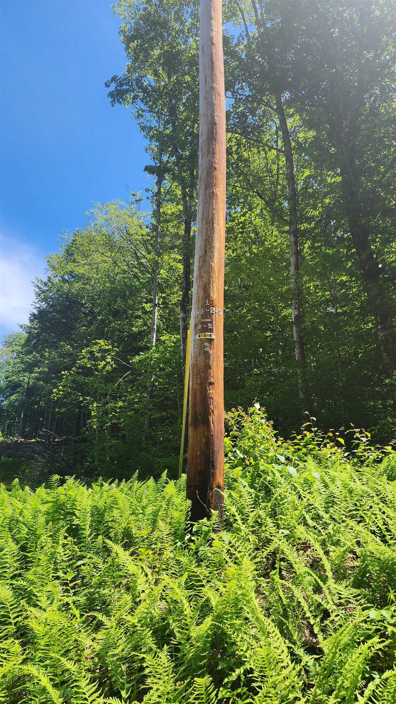 00 Hillcrest Rd, Andover, VT 05143