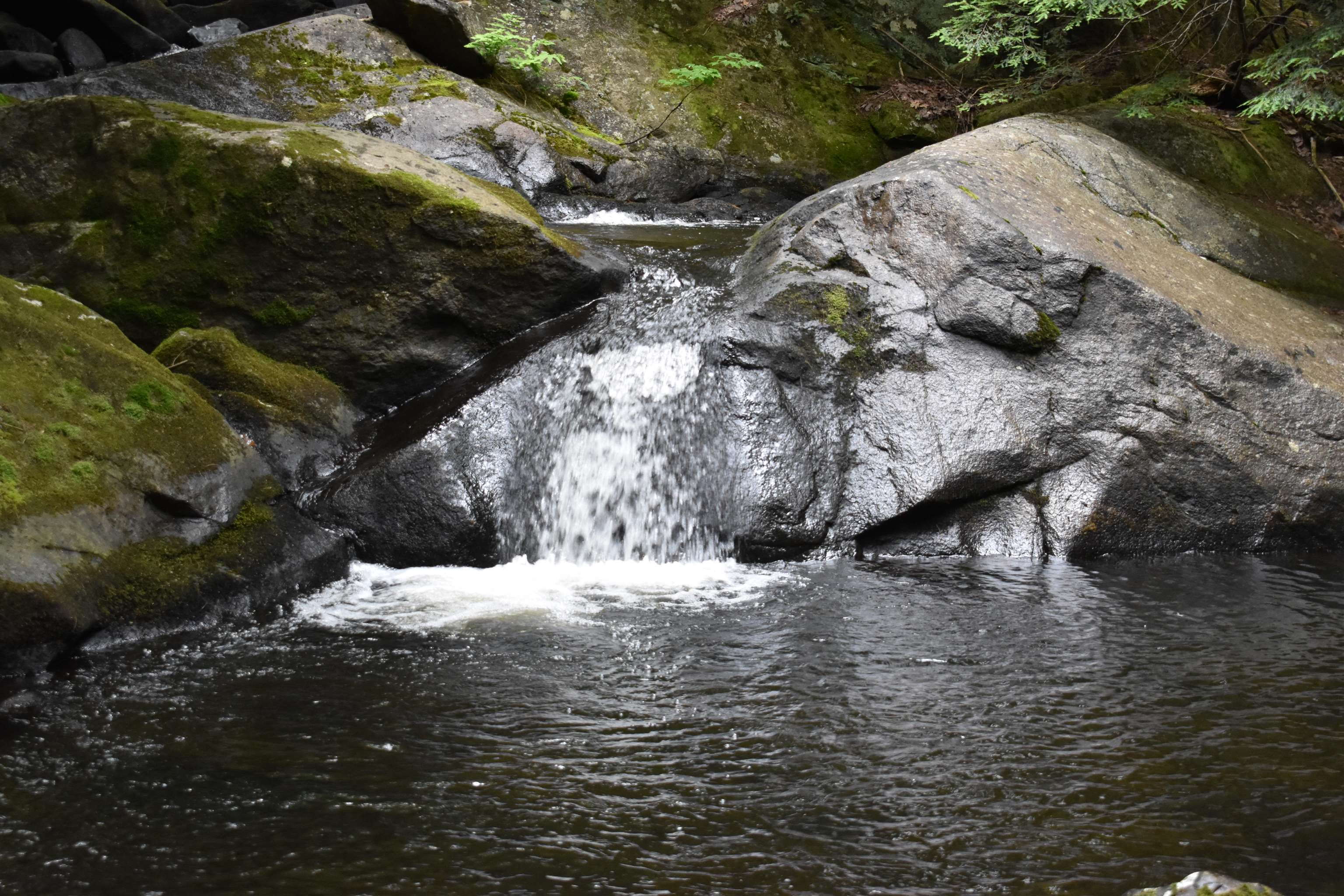 0 Saunders Hill Rd, Wentworth, NH 03282