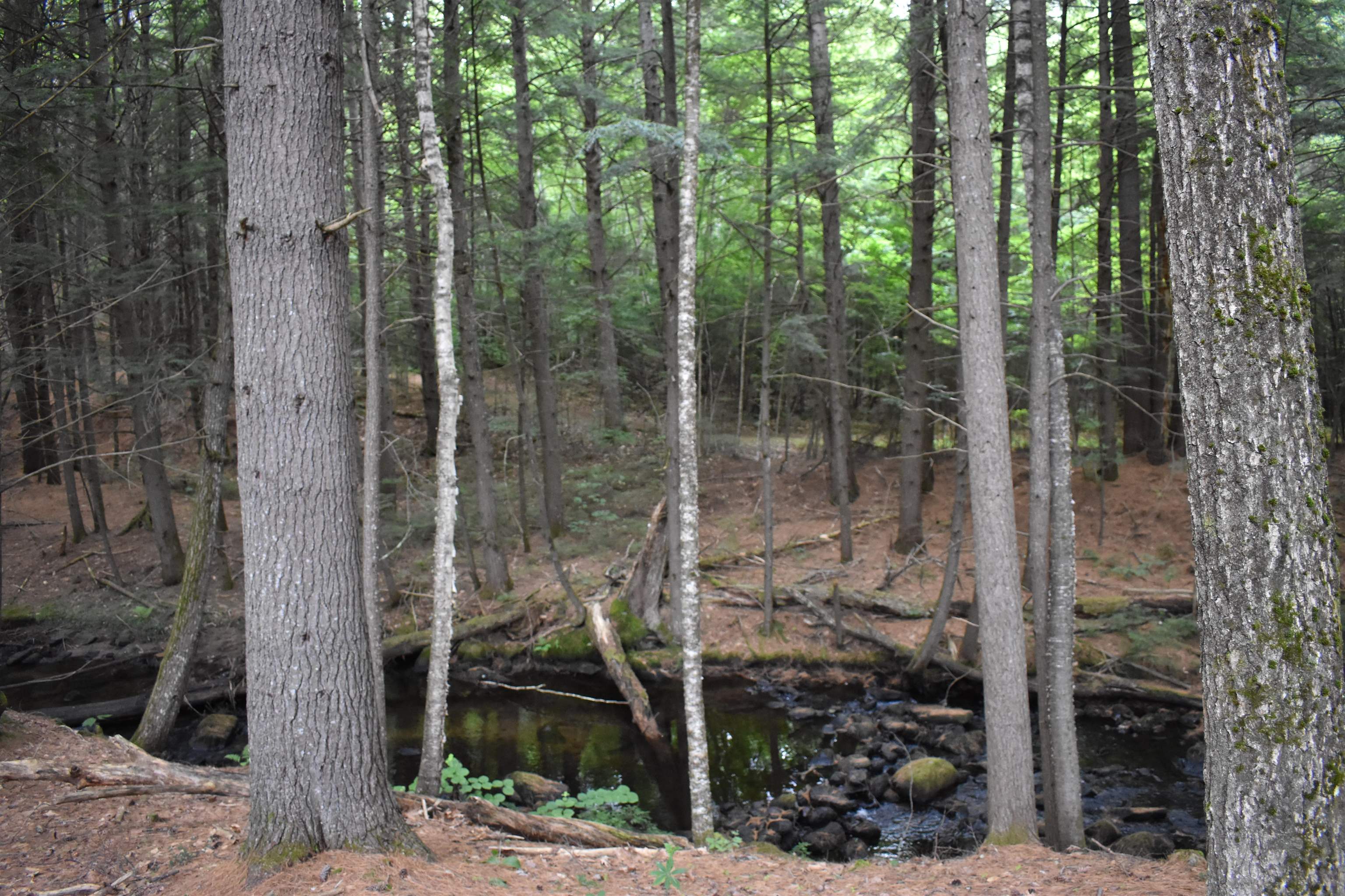 0 Saunders Hill Rd, Wentworth, NH 03282