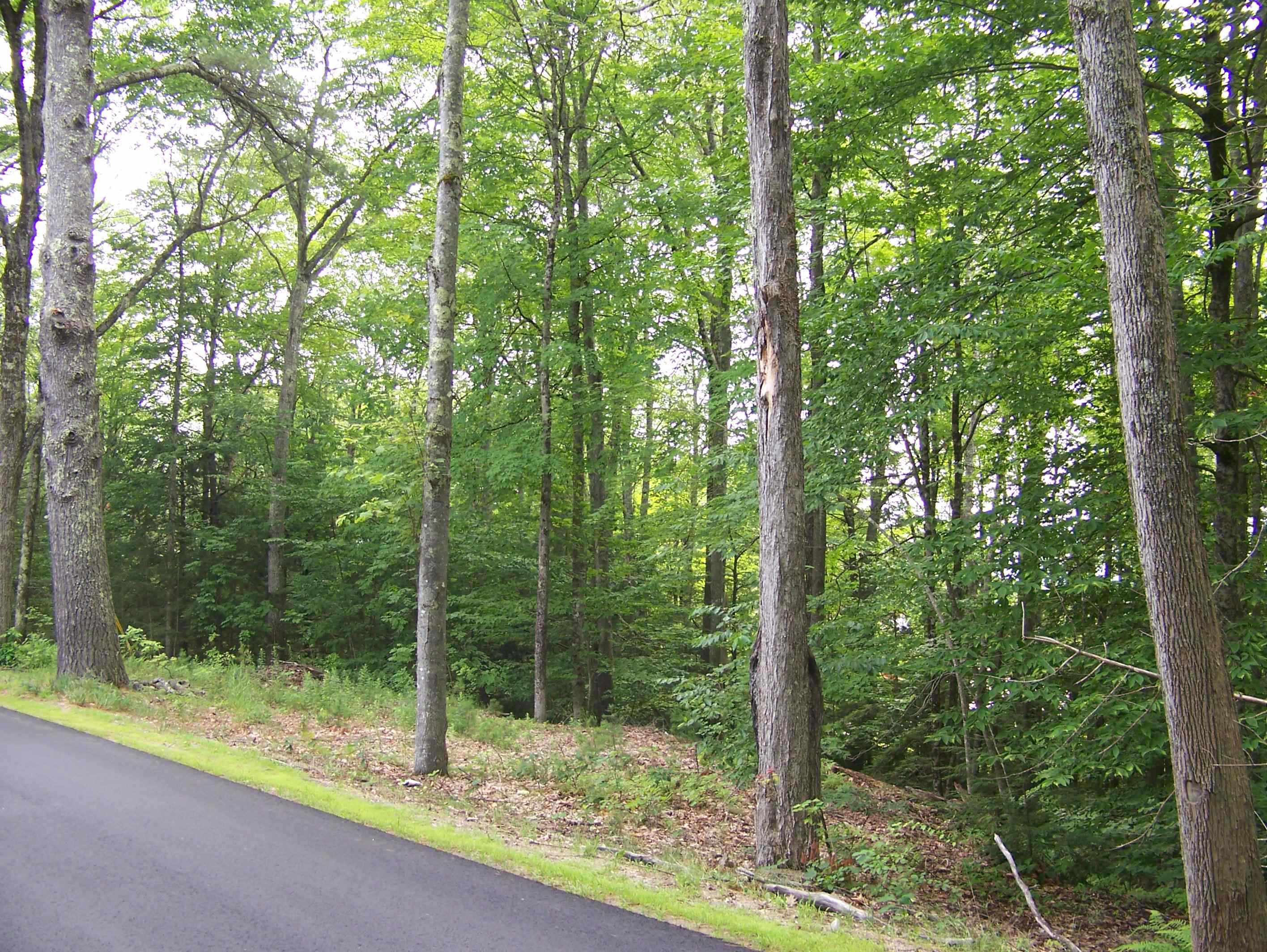 Ledge Hill Road — photo 3