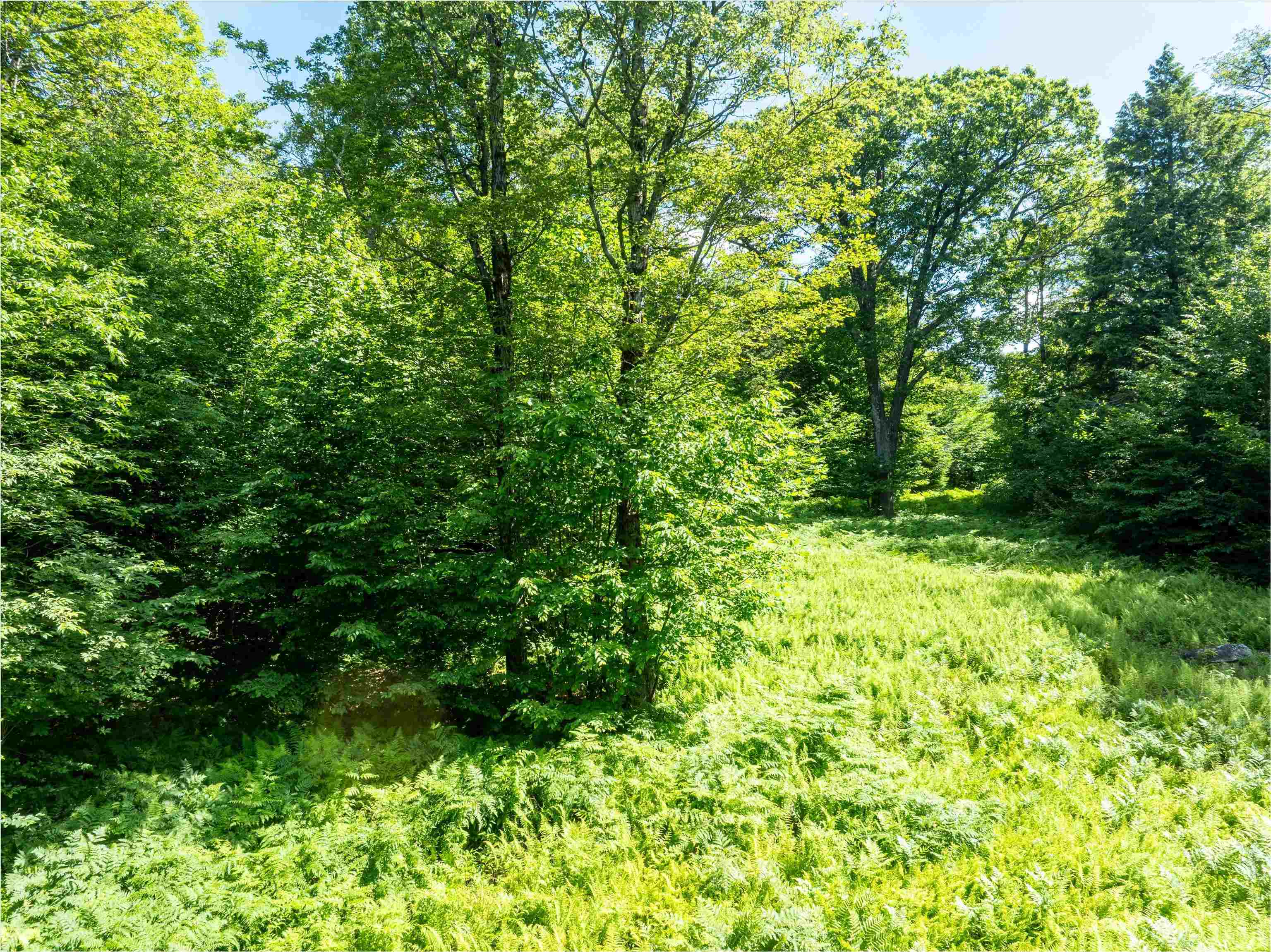 Gentle slope from home site back toward driveway 23631317