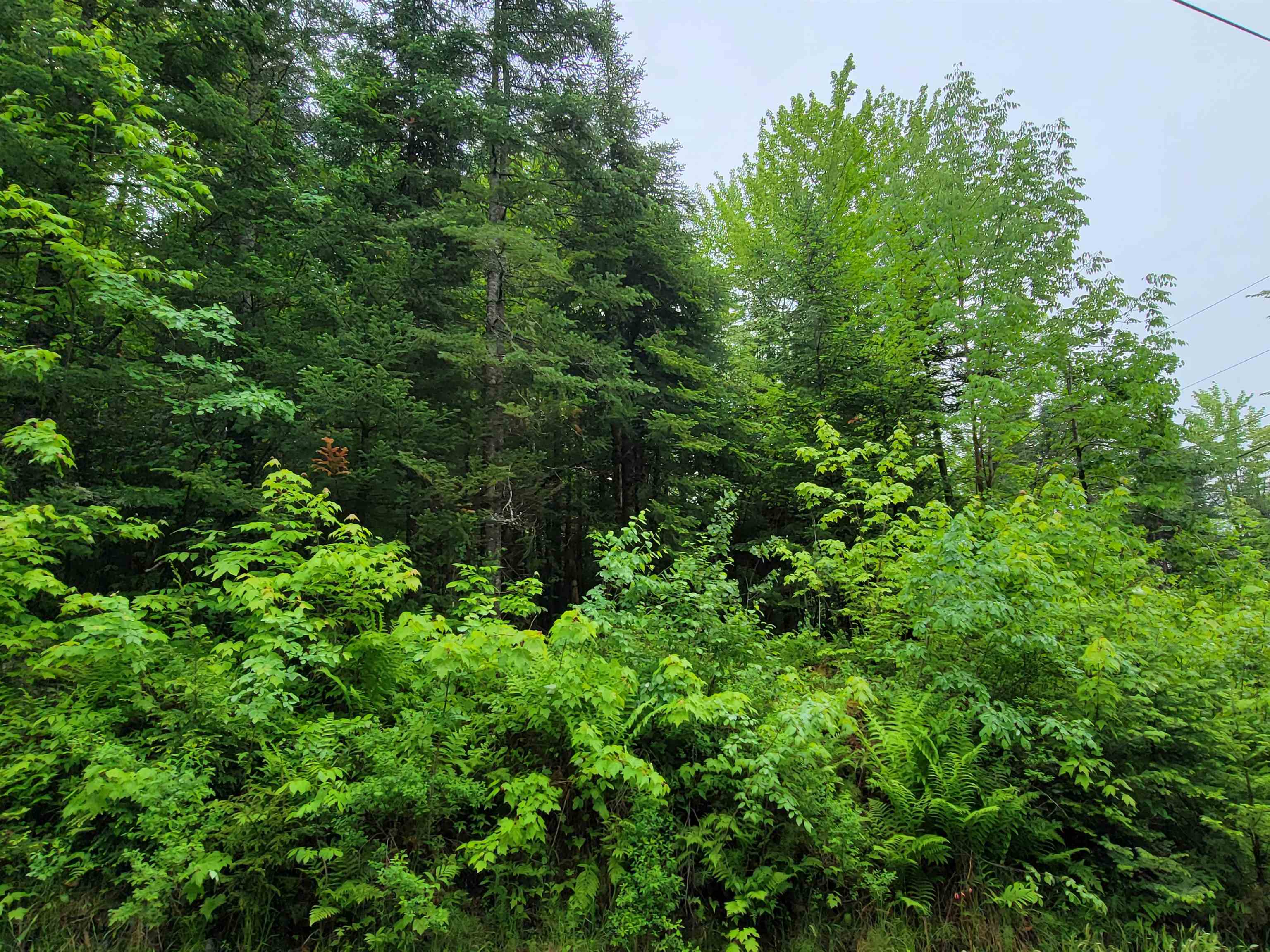 105 Alpenhof Rd, Bethlehem, NH 03574