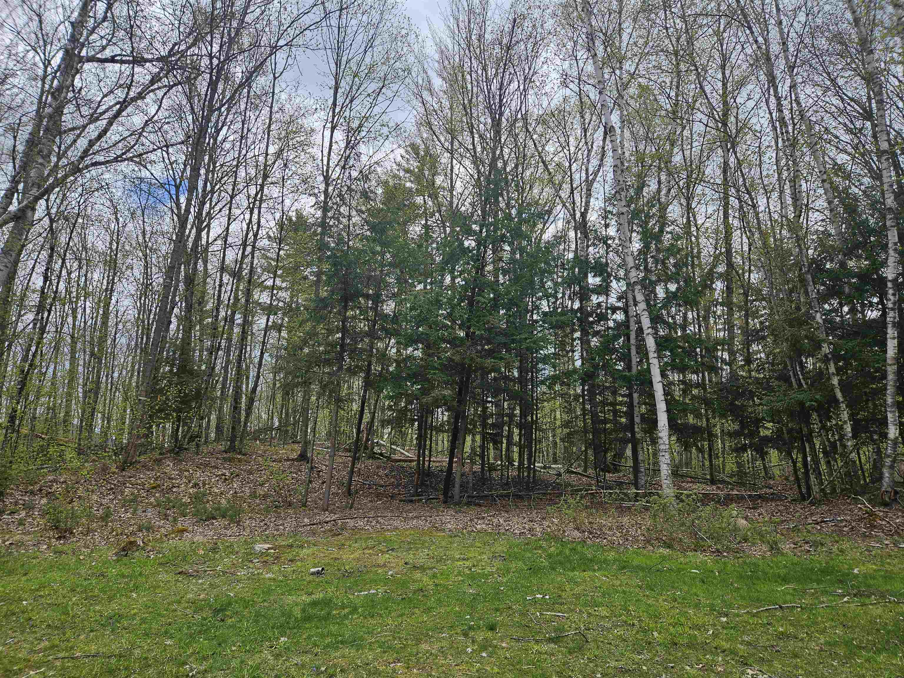 Lot 123 Paulsen Cir, Haverhill, NH 03765