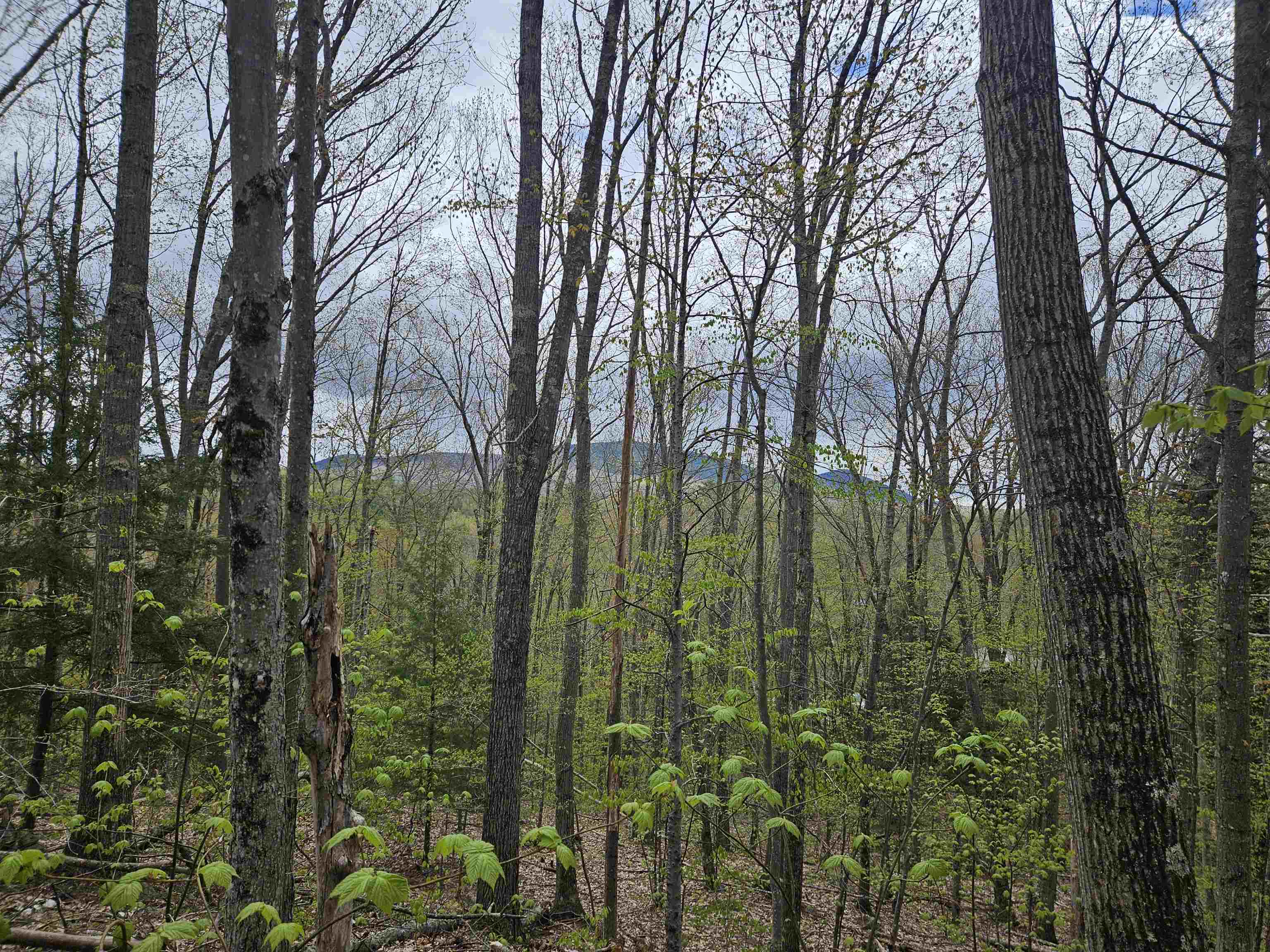 Lot 123 Paulsen Cir, Haverhill, NH 03765