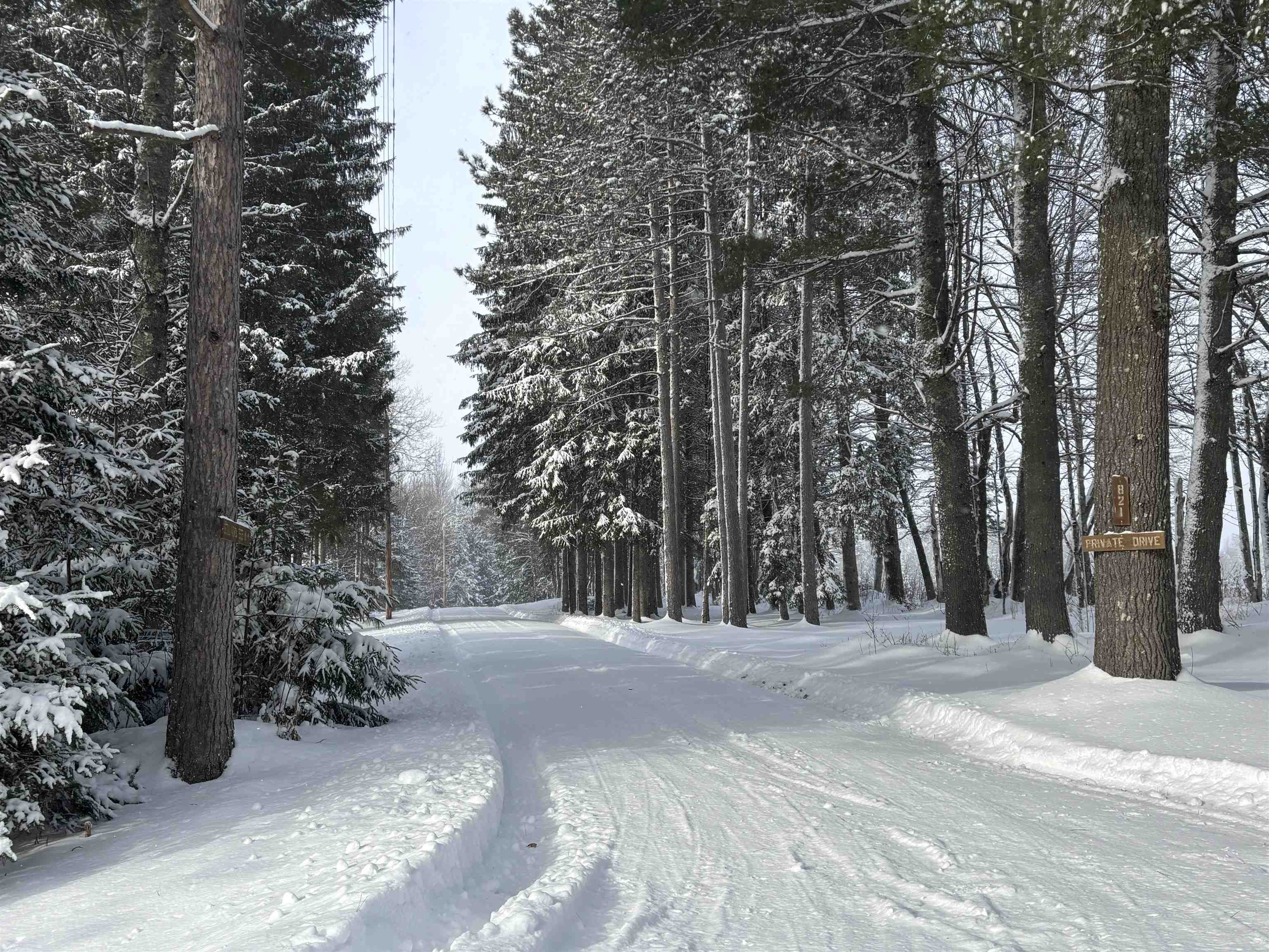   Click for more details  