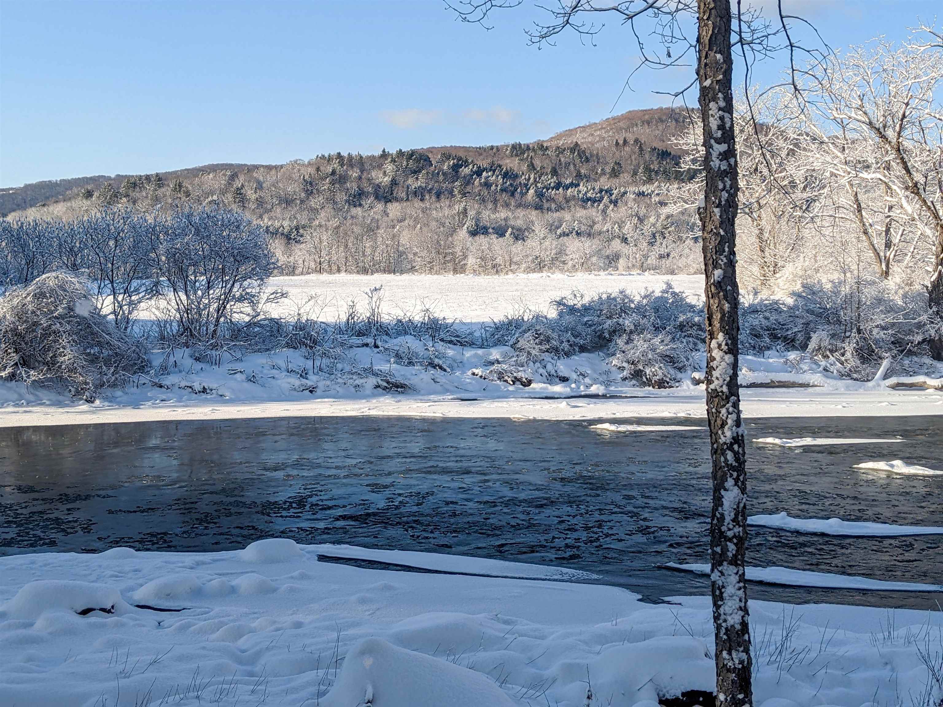 River frontage 23699031