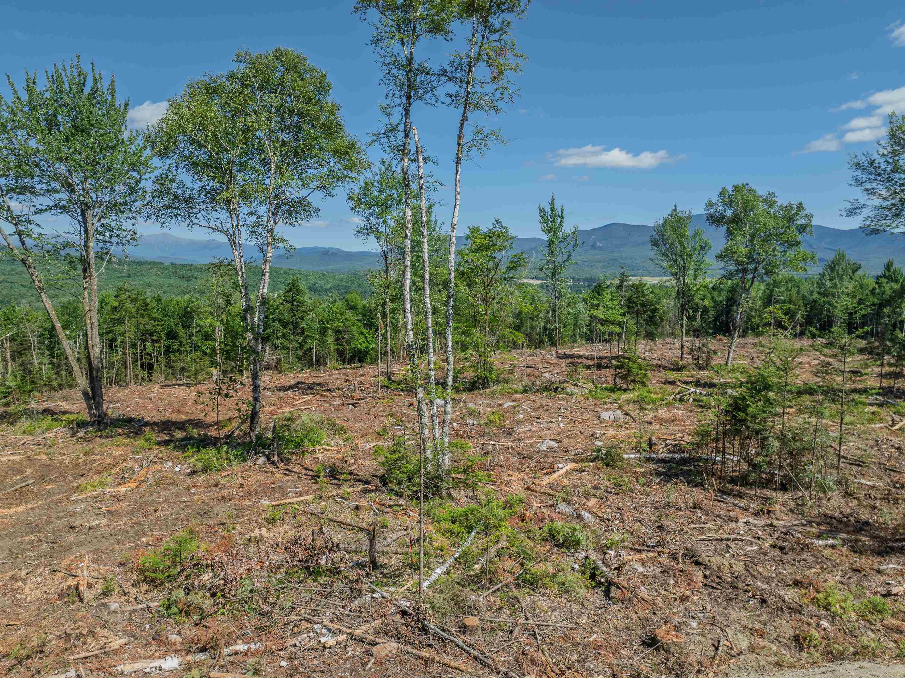 000 Ridge Rd, Bethlehem, NH 03574