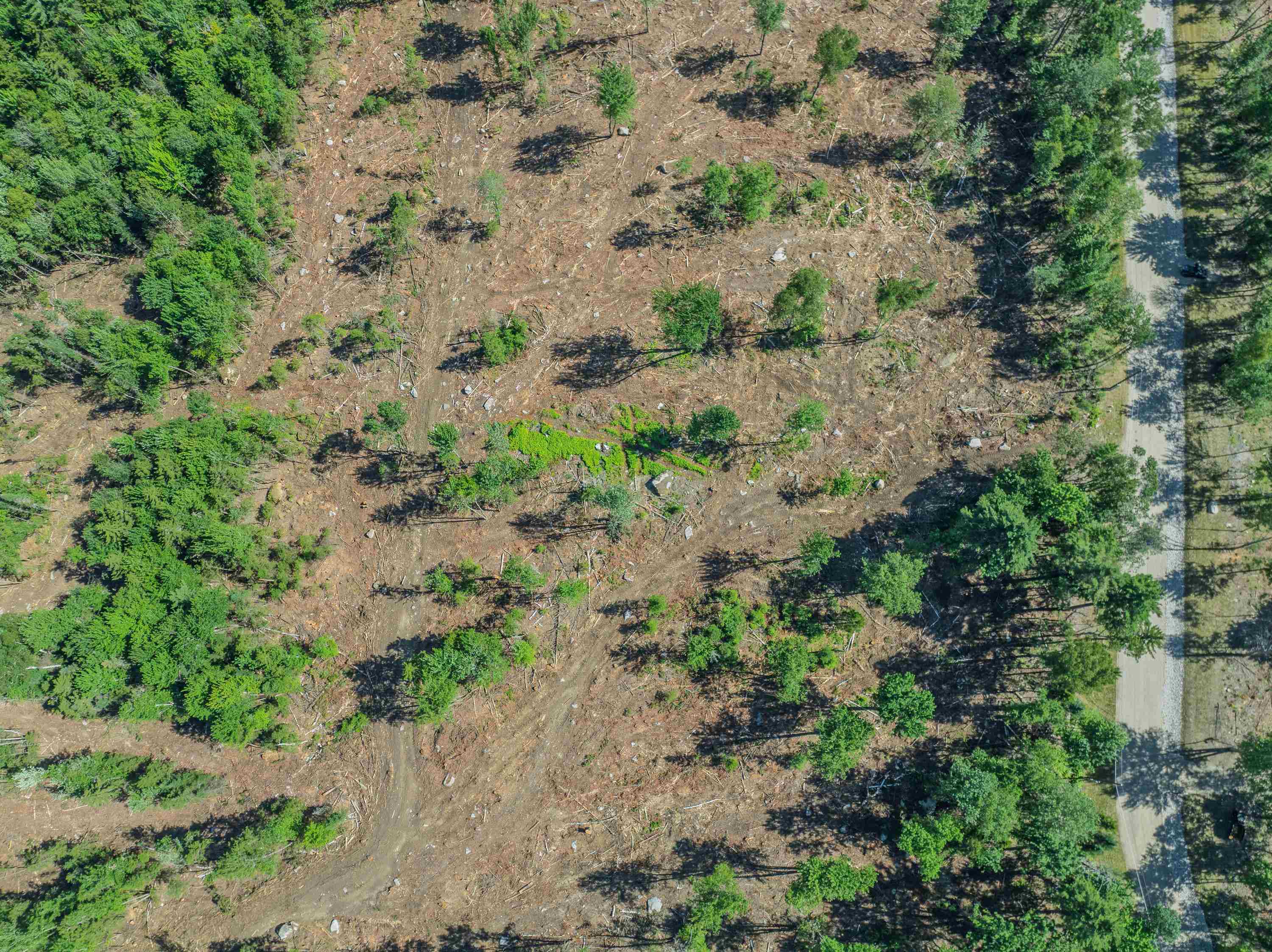 000 Ridge Rd, Bethlehem, NH 03574