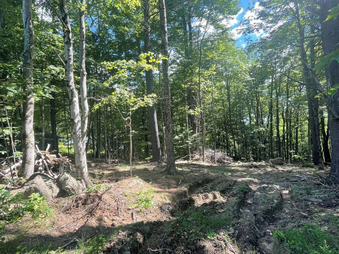 00 Kennedy Brook Dr, Stoddard, NH 03464