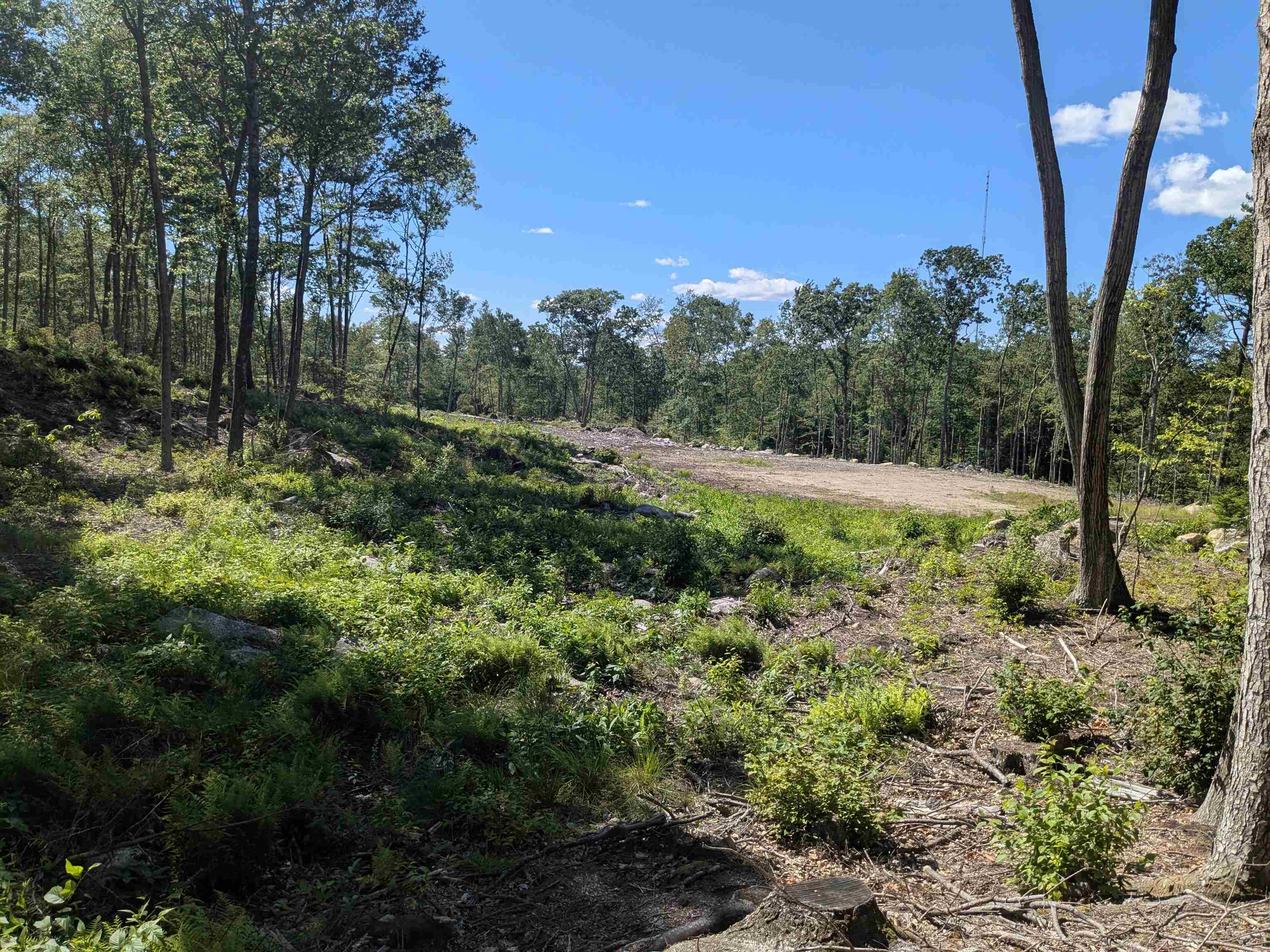 0 Old Hinsdale Rd, Winchester, NH 03470