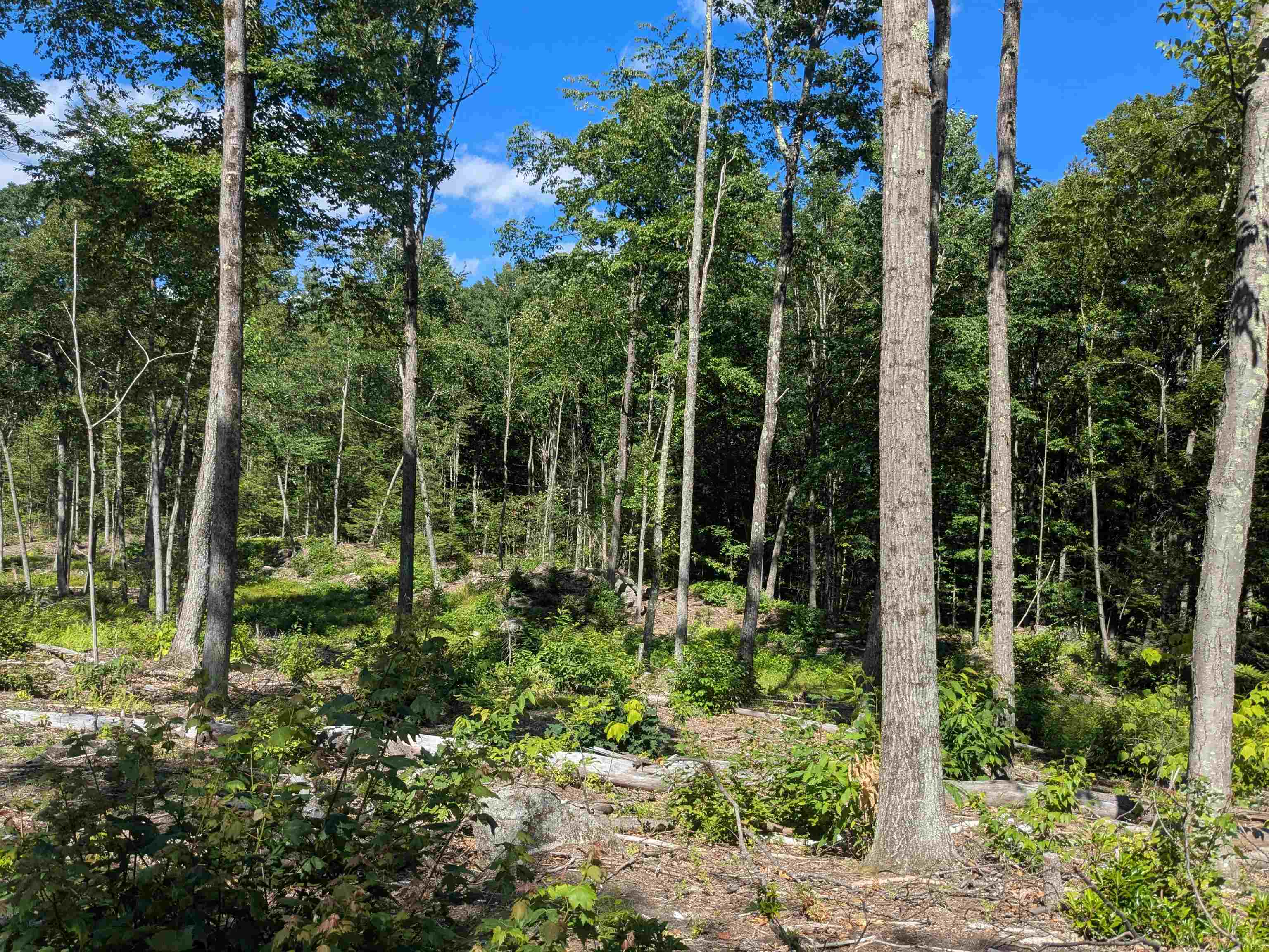 0 Old Hinsdale Rd, Winchester, NH 03470