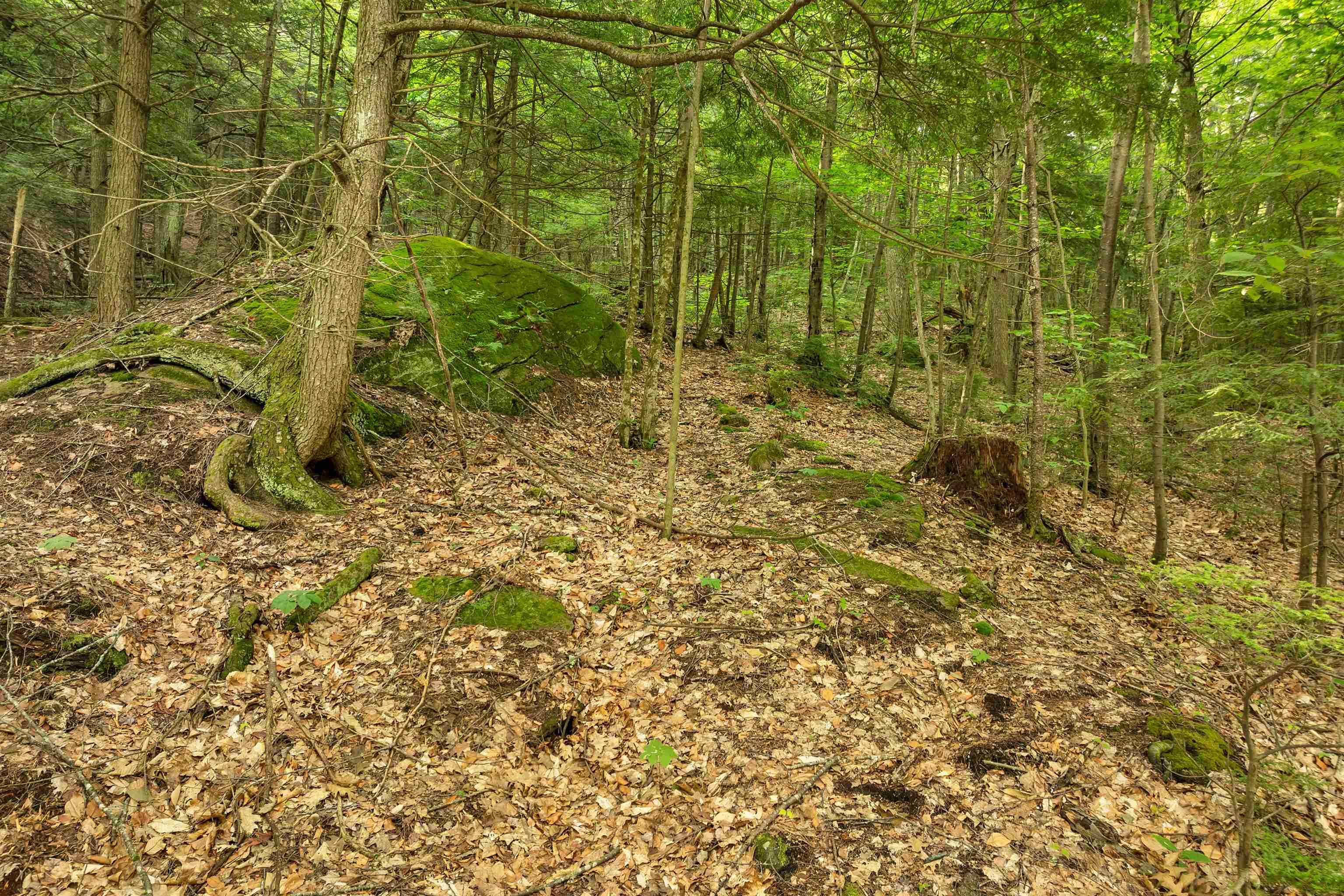 0 Interlaken Dr, New Durham, NH 03855