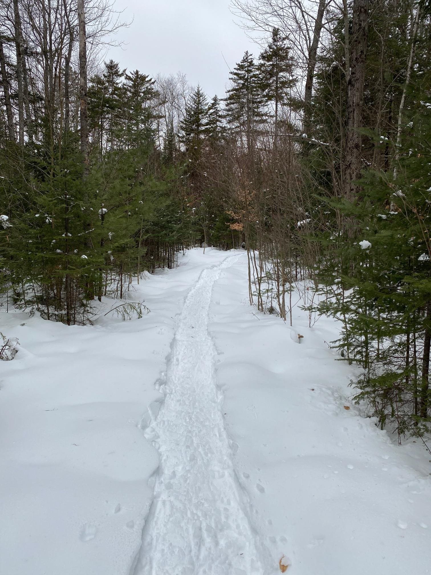 50 Old Dorchester Rd, Lyme, NH 03768