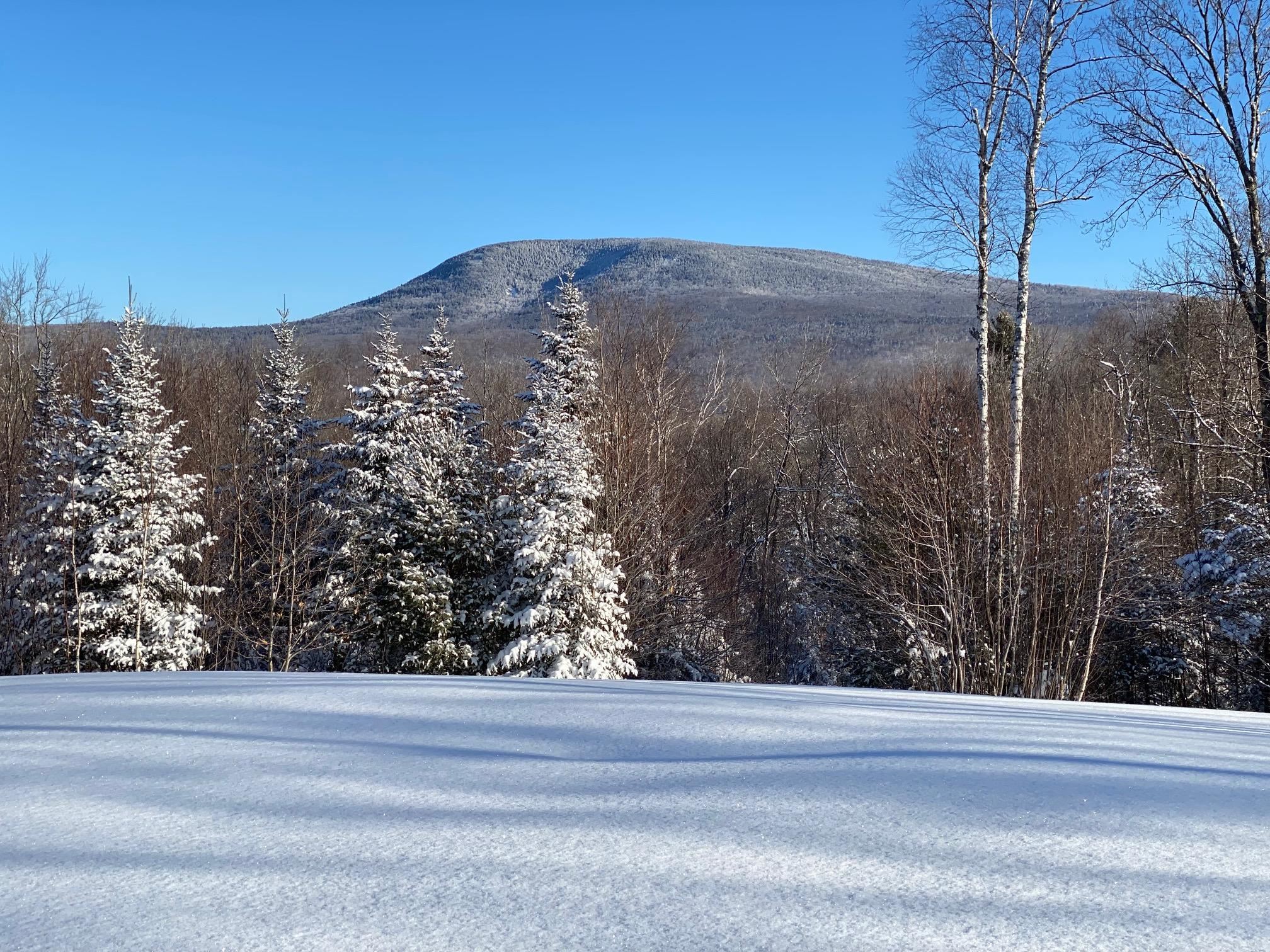 50 Old Dorchester Rd, Lyme, NH 03768