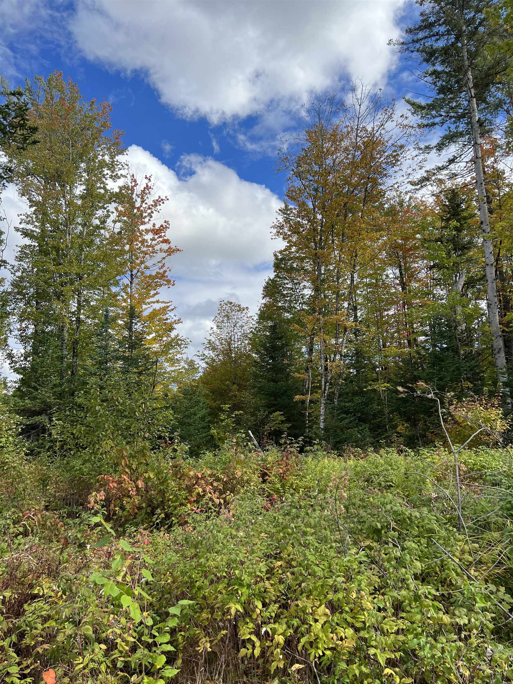 0 Evergreen Dr, Dalton, NH 03598