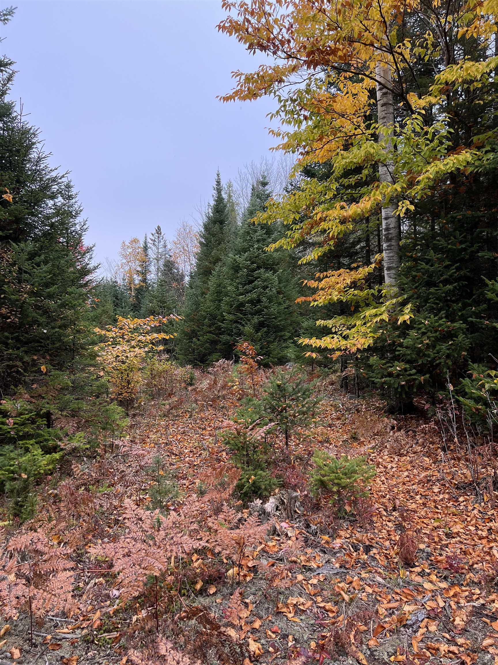 Evergreen Dr, Dalton, NH 03598