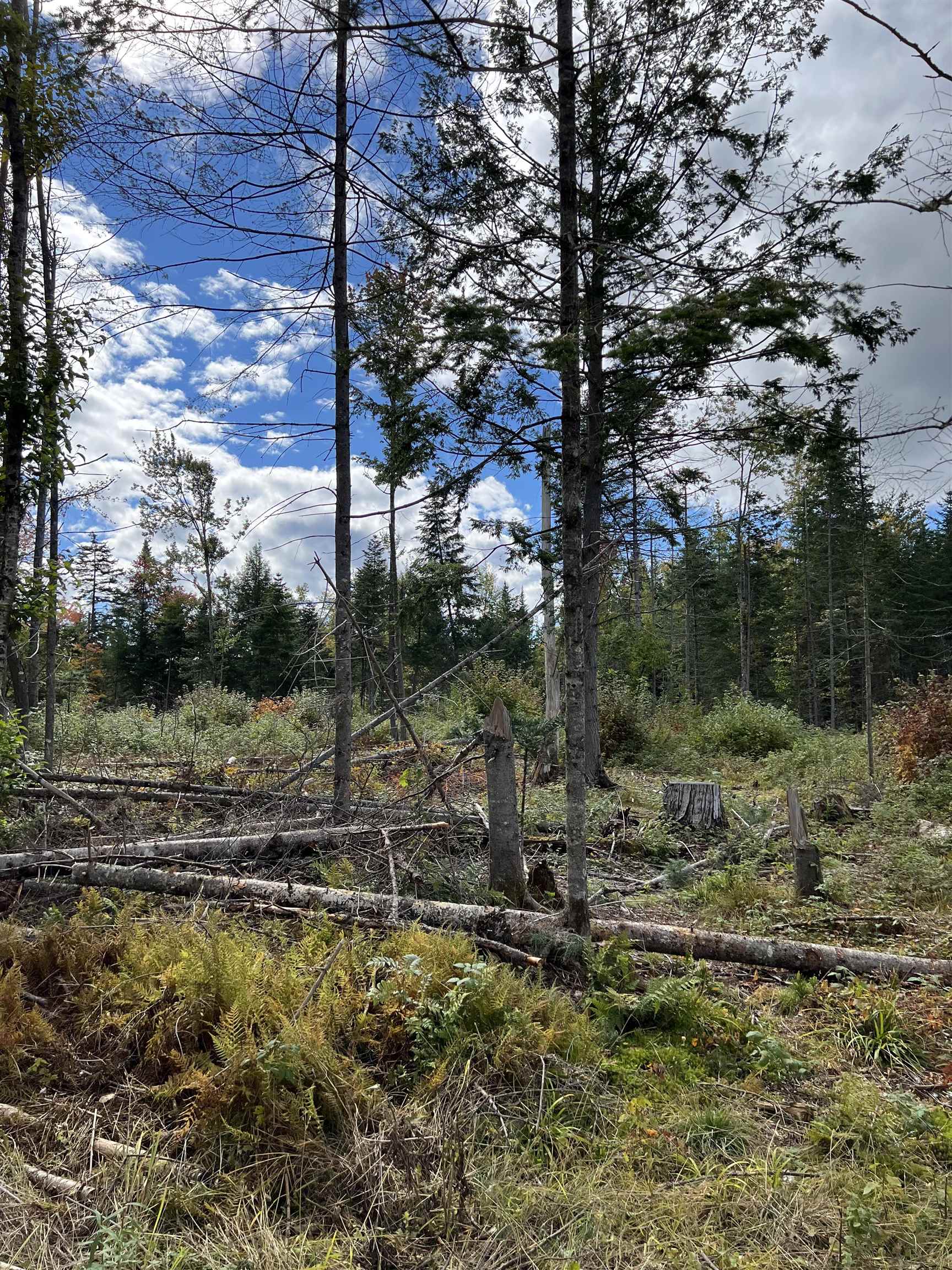 0 Evergreen Dr, Dalton, NH 03598