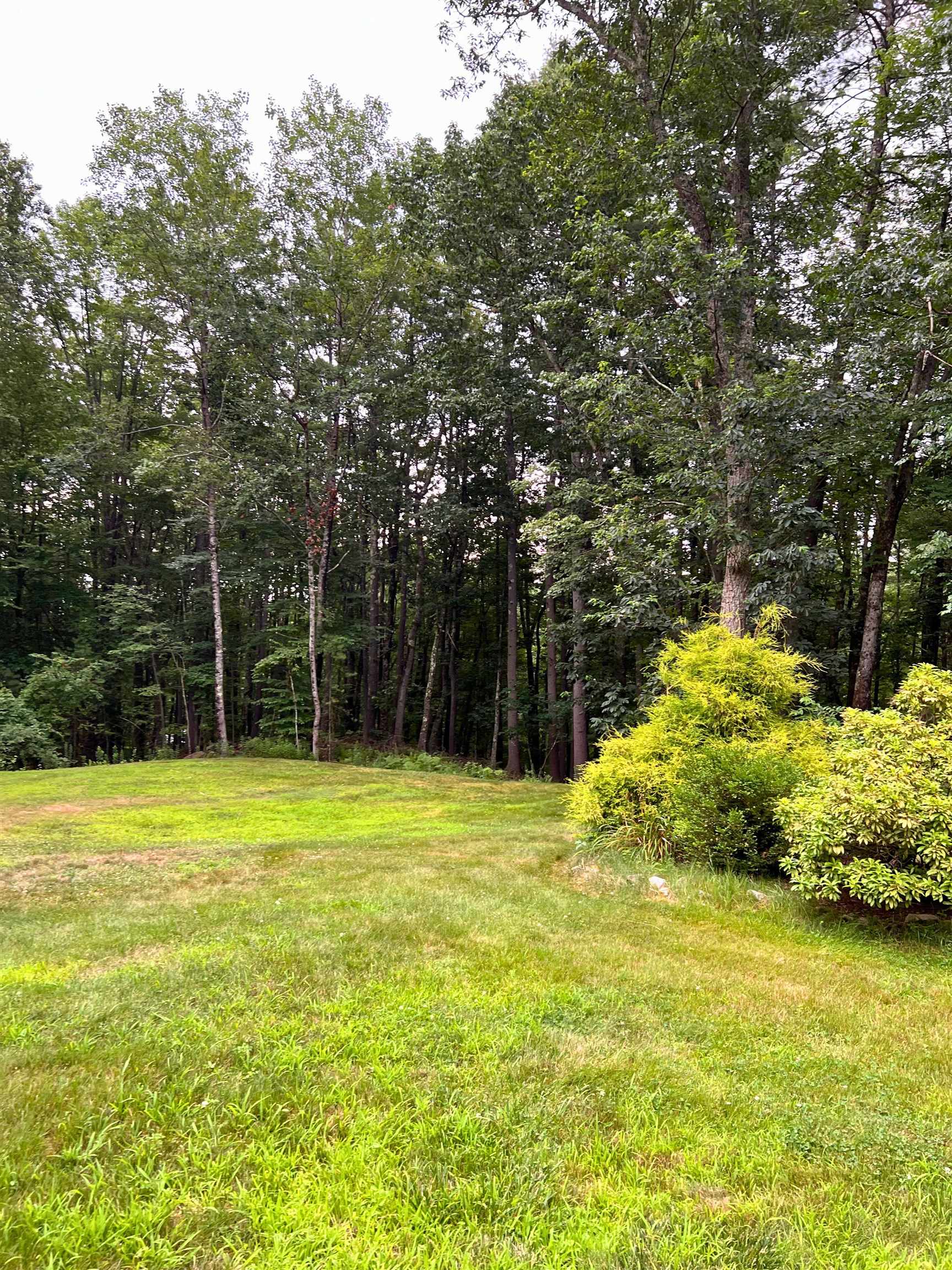 7 Hamilton Way, Bedford, NH 03110