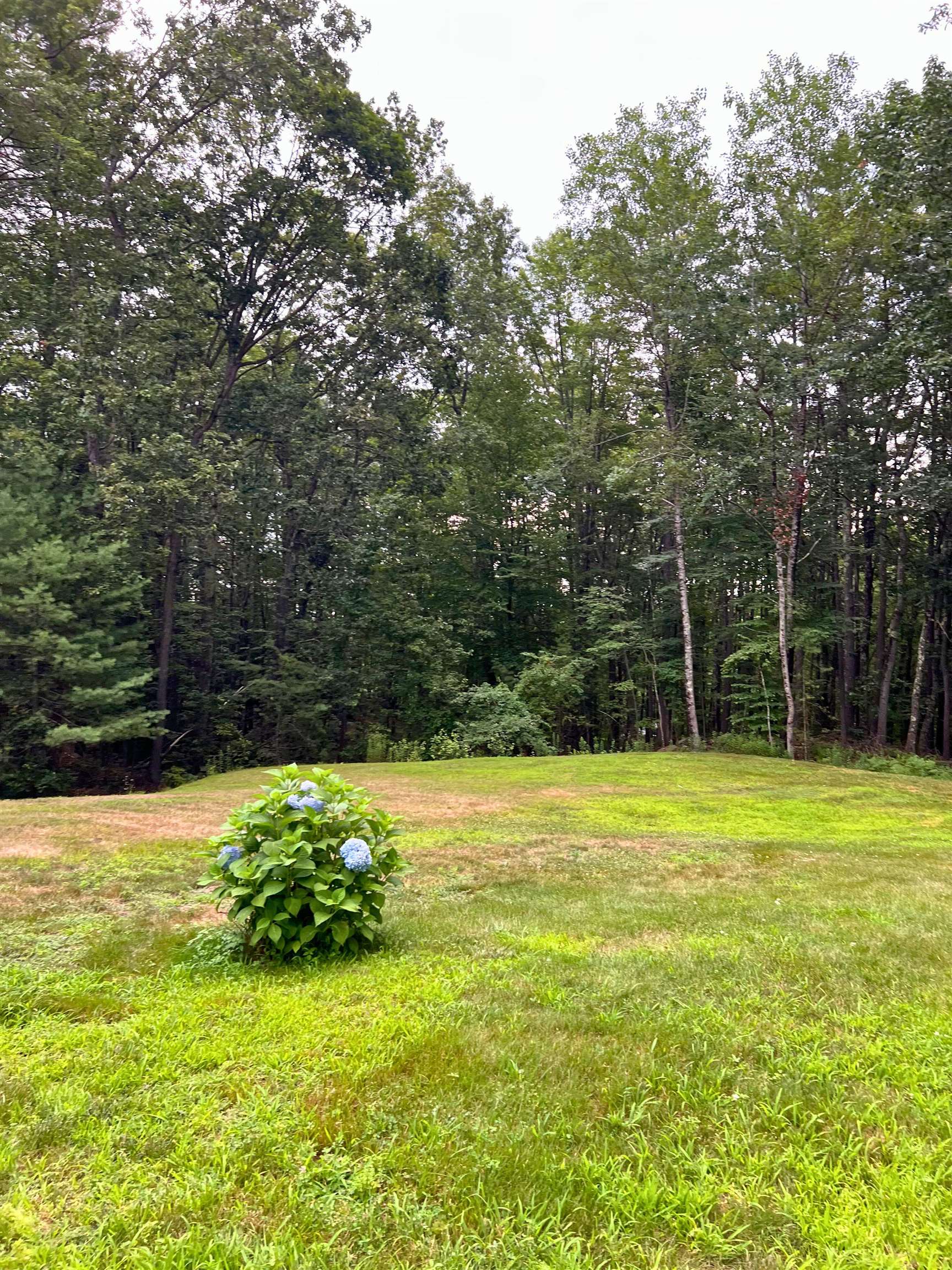 7 Hamilton Way, Bedford, NH 03110