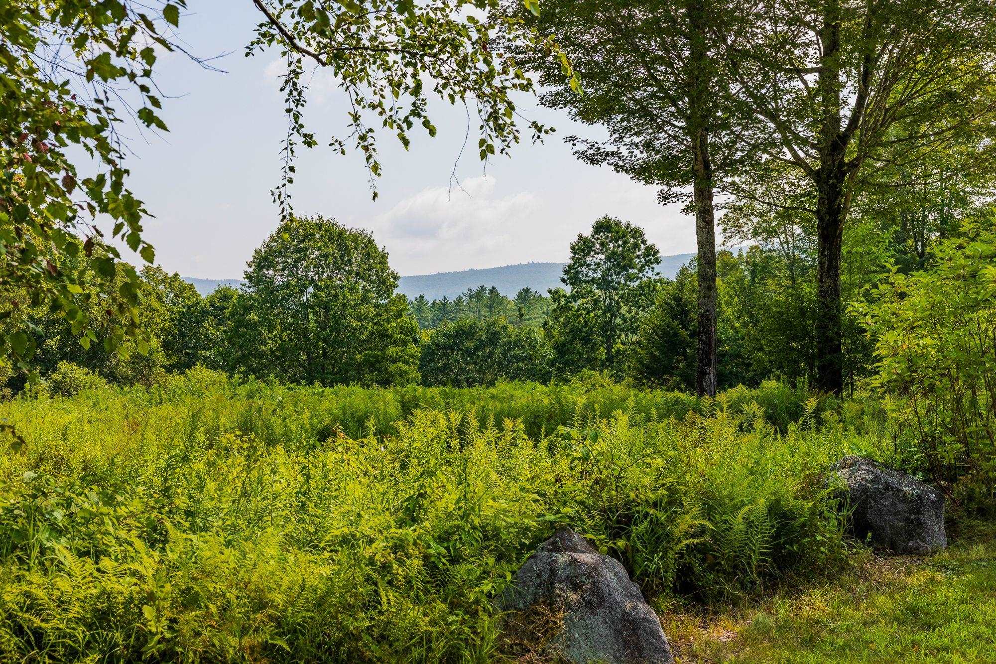 58 Bear Tree Rd, Orford, NH 03777