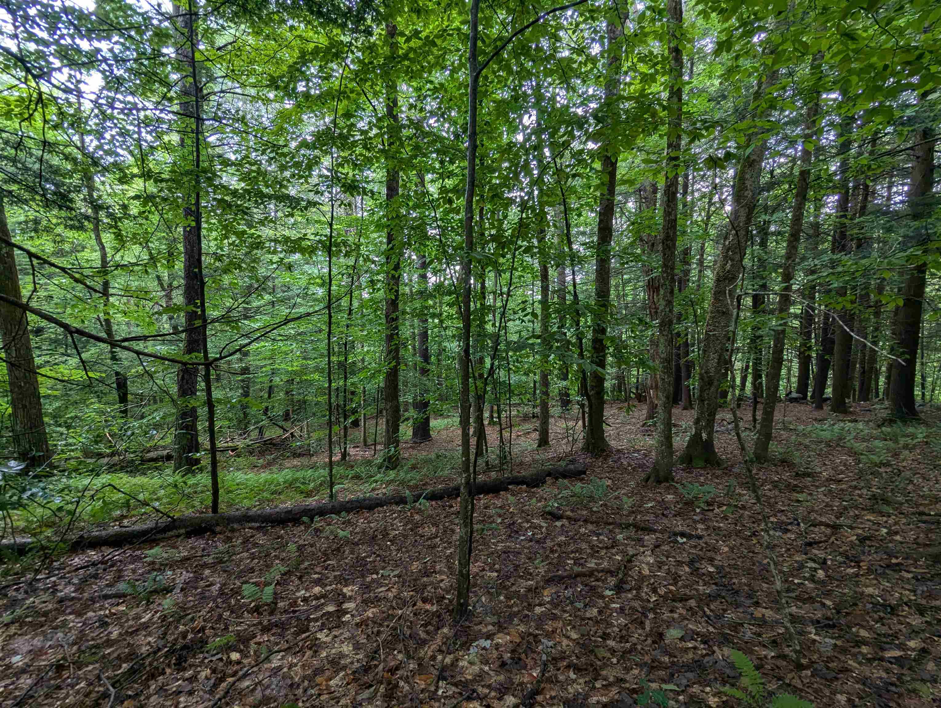 Newfane VT&nbsp;Land for sale $$67,500 | 3.5 Acres  | Price Per Acre $0  | Total Lots 2