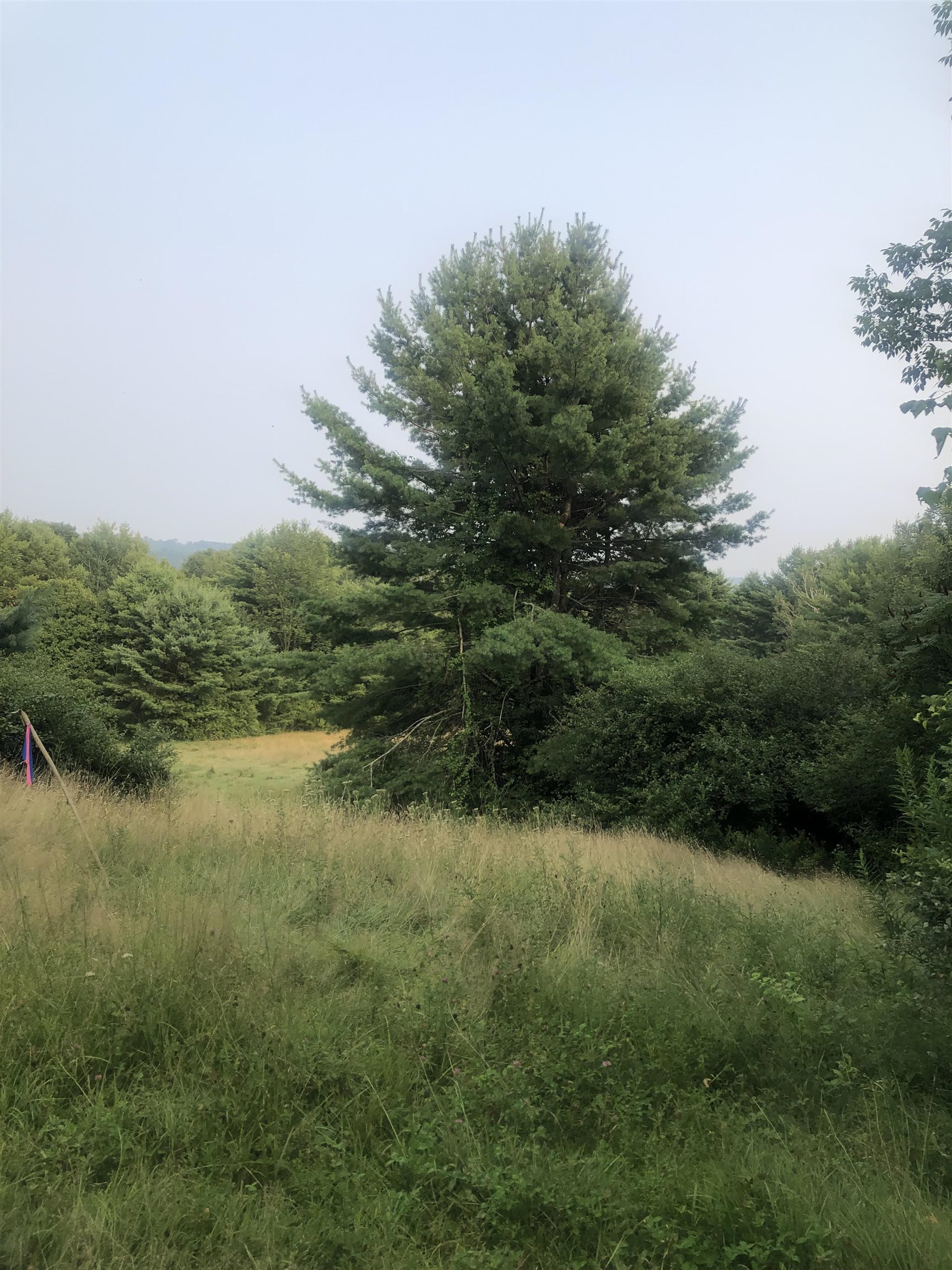 Gilsum NH&nbsp;Land for sale $$169,900 | 13.15 Acres  | Price Per Acre $0 