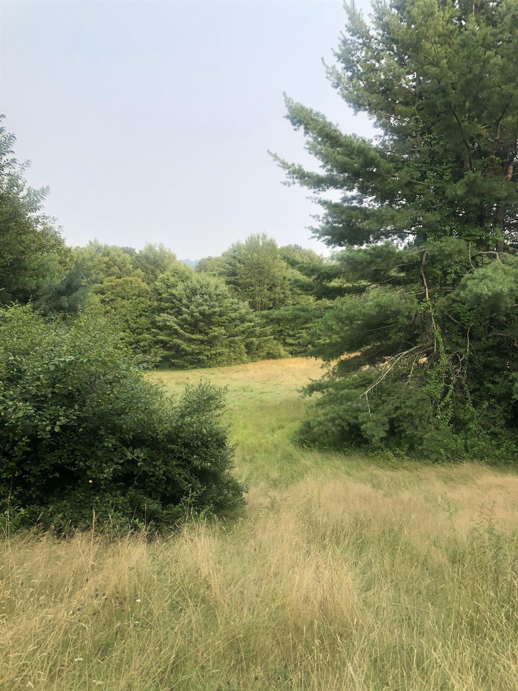 Lot 4 Belvedere Rd, Gilsum, NH 03448