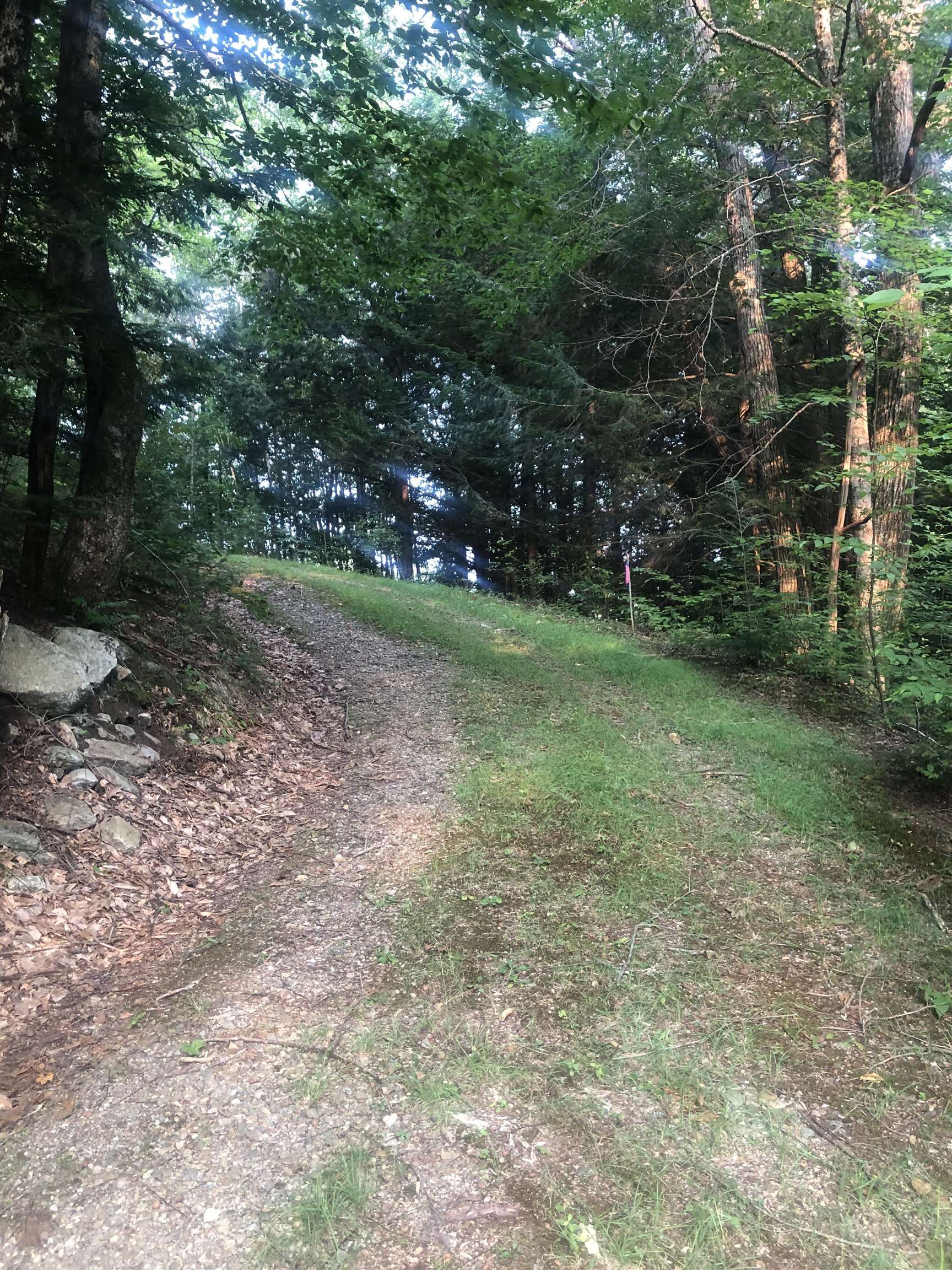 Lot 4 Belvedere Rd, Gilsum, NH 03448