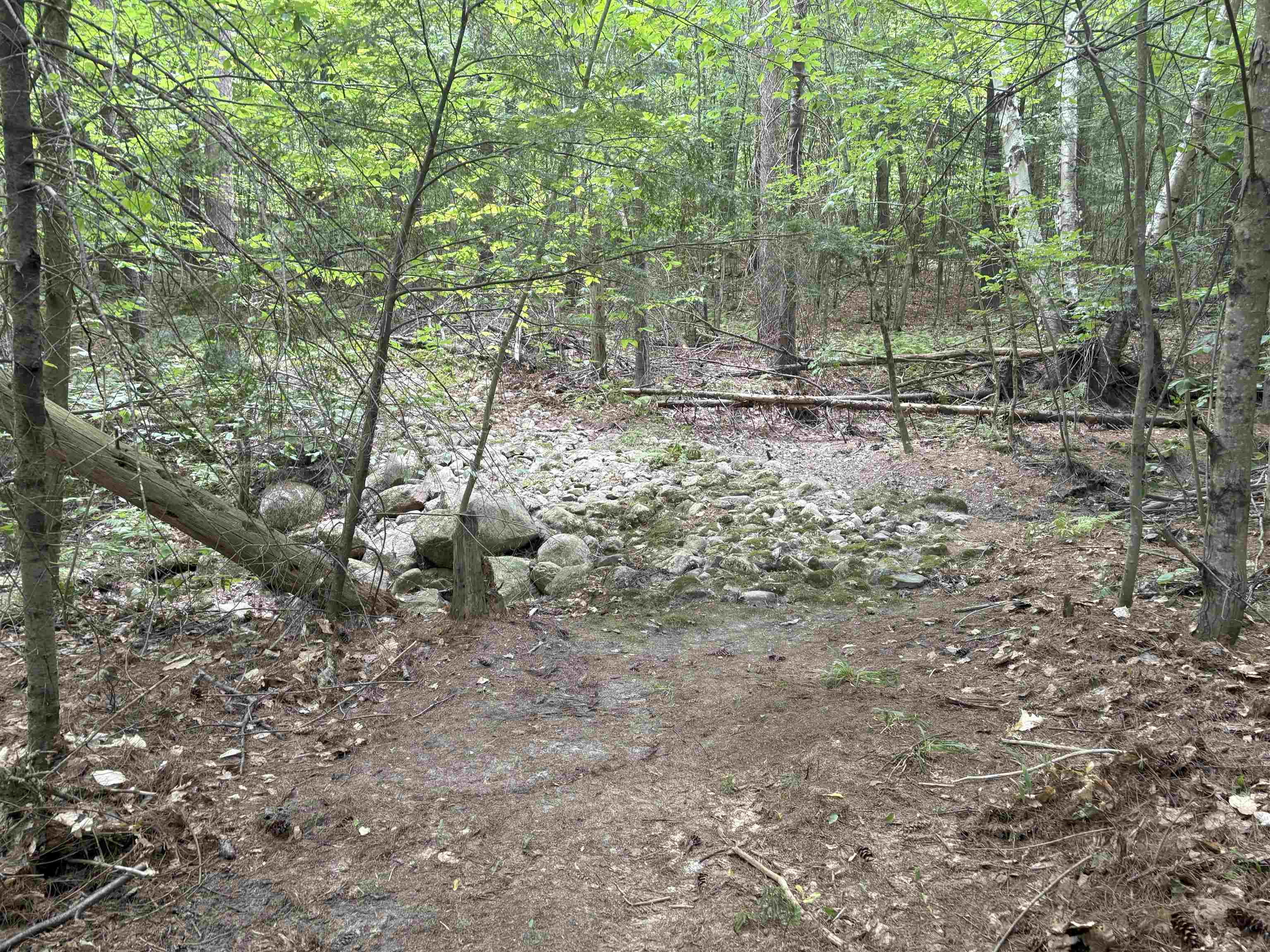 190 Circuit Road — photo 2