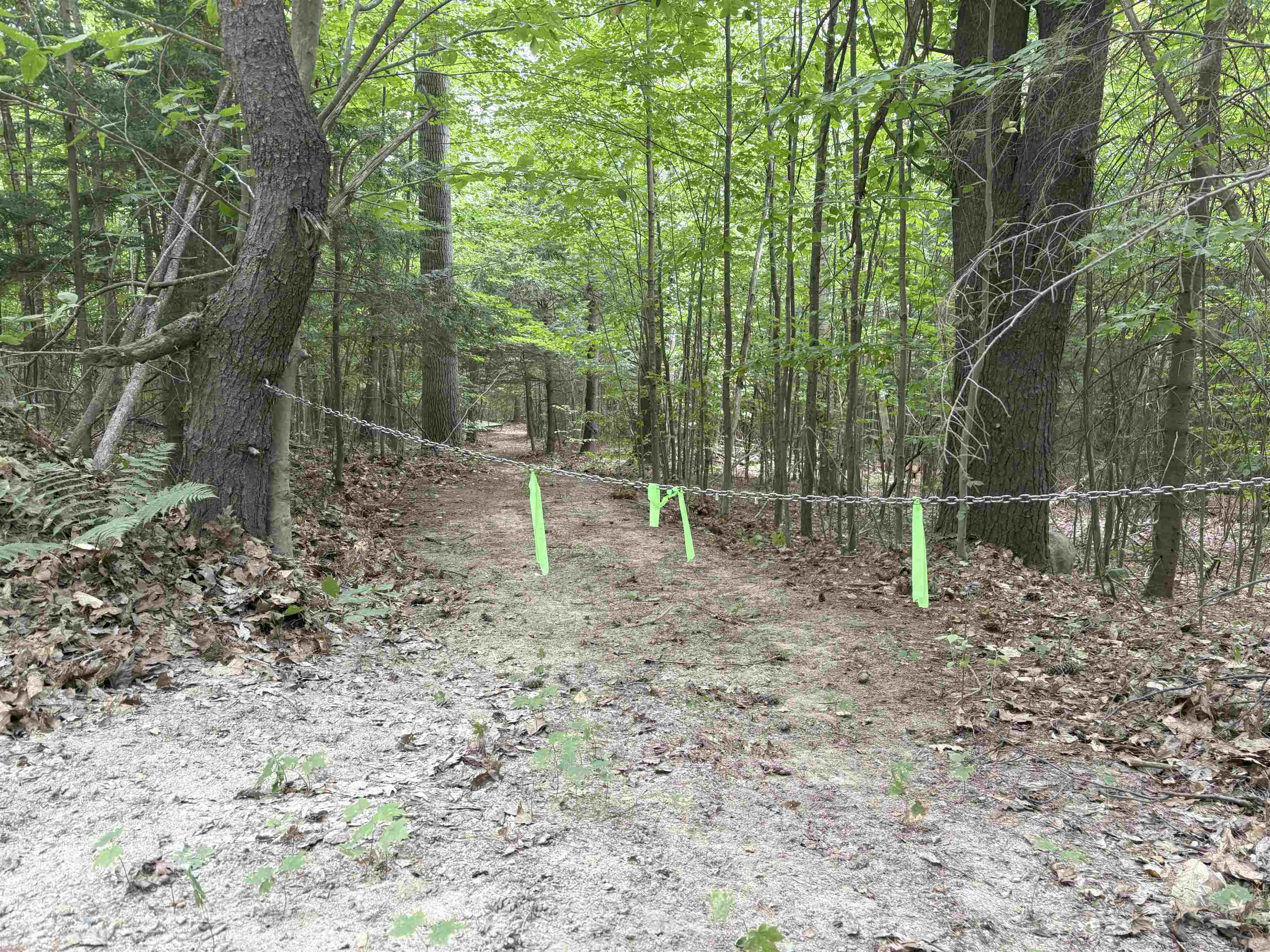 190 Circuit Road — photo 3