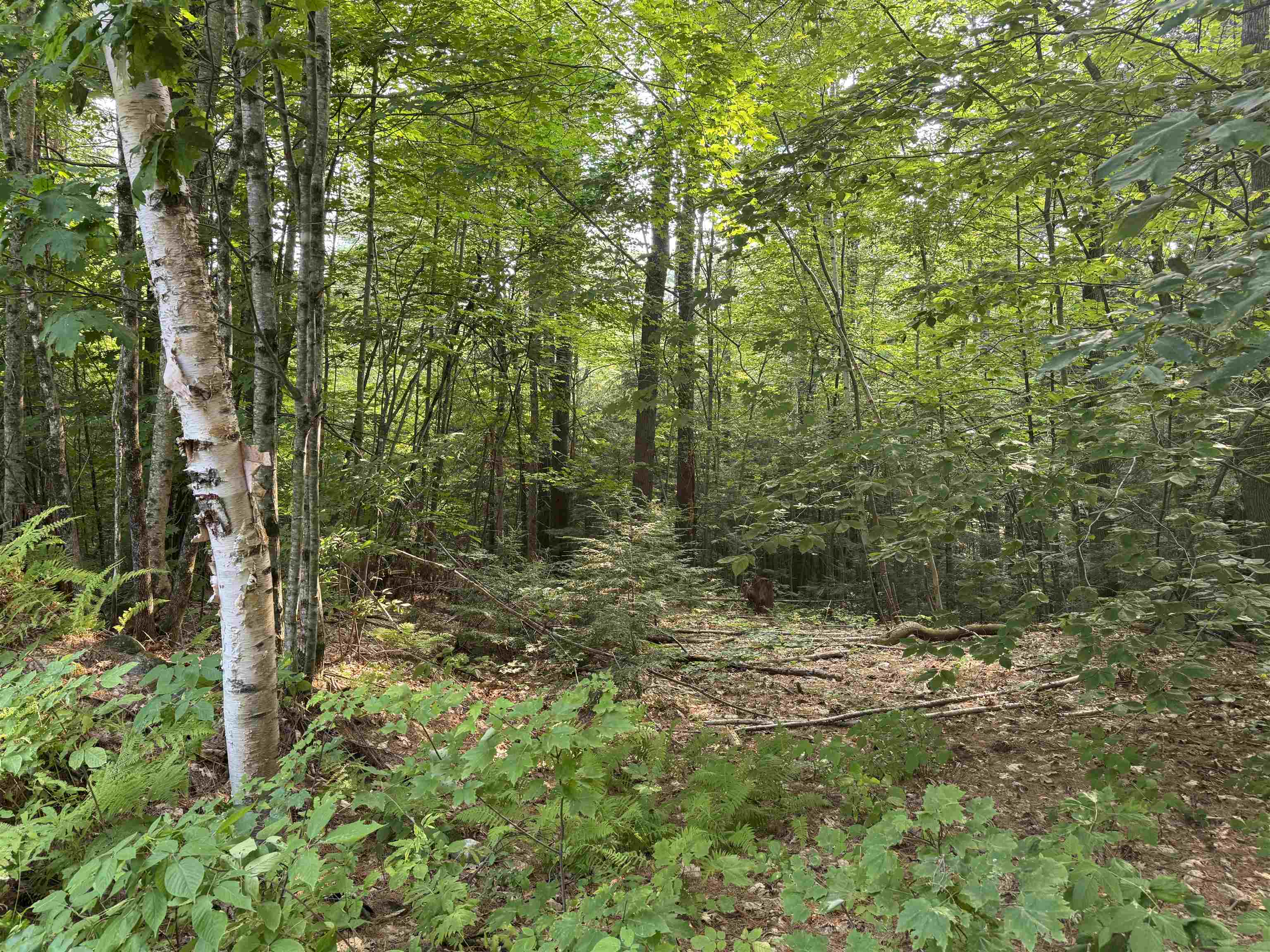 190 Circuit Rd, Ossipee, NH 03864