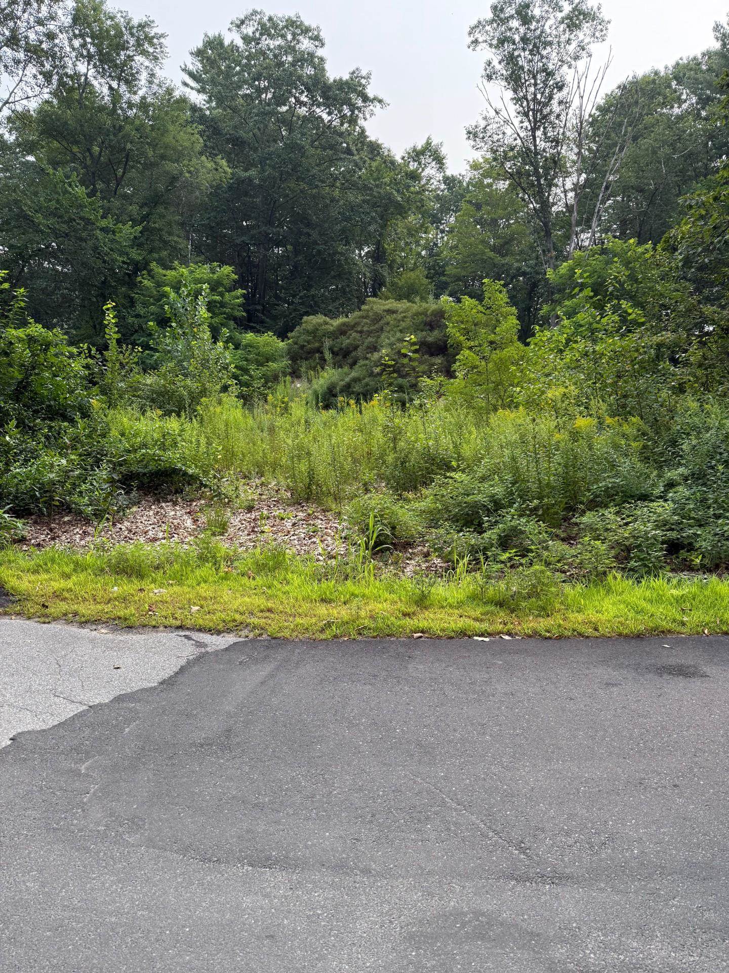 2 Shore Dr, Goffstown, NH 03045