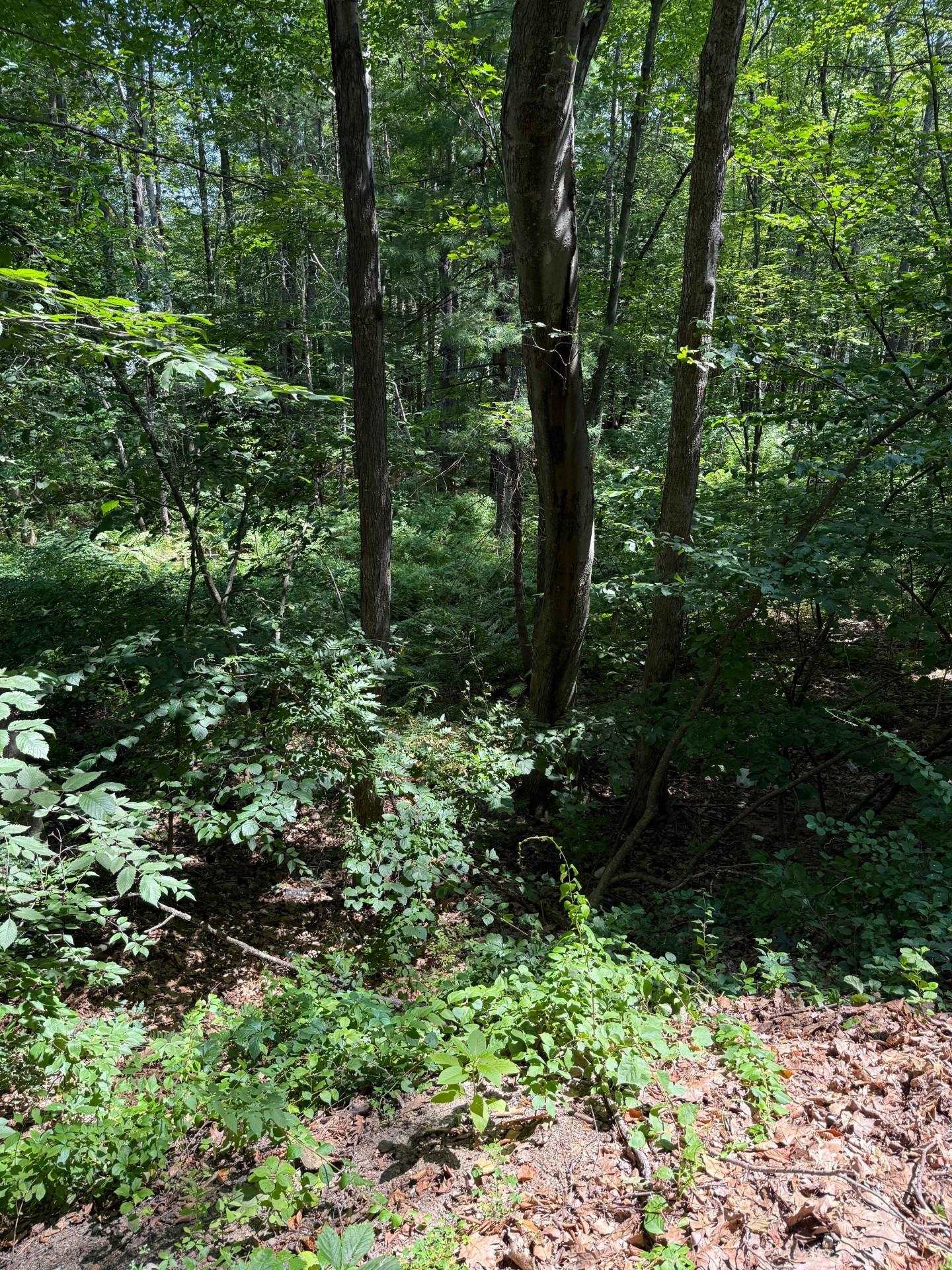 2 Shore Dr, Goffstown, NH 03045