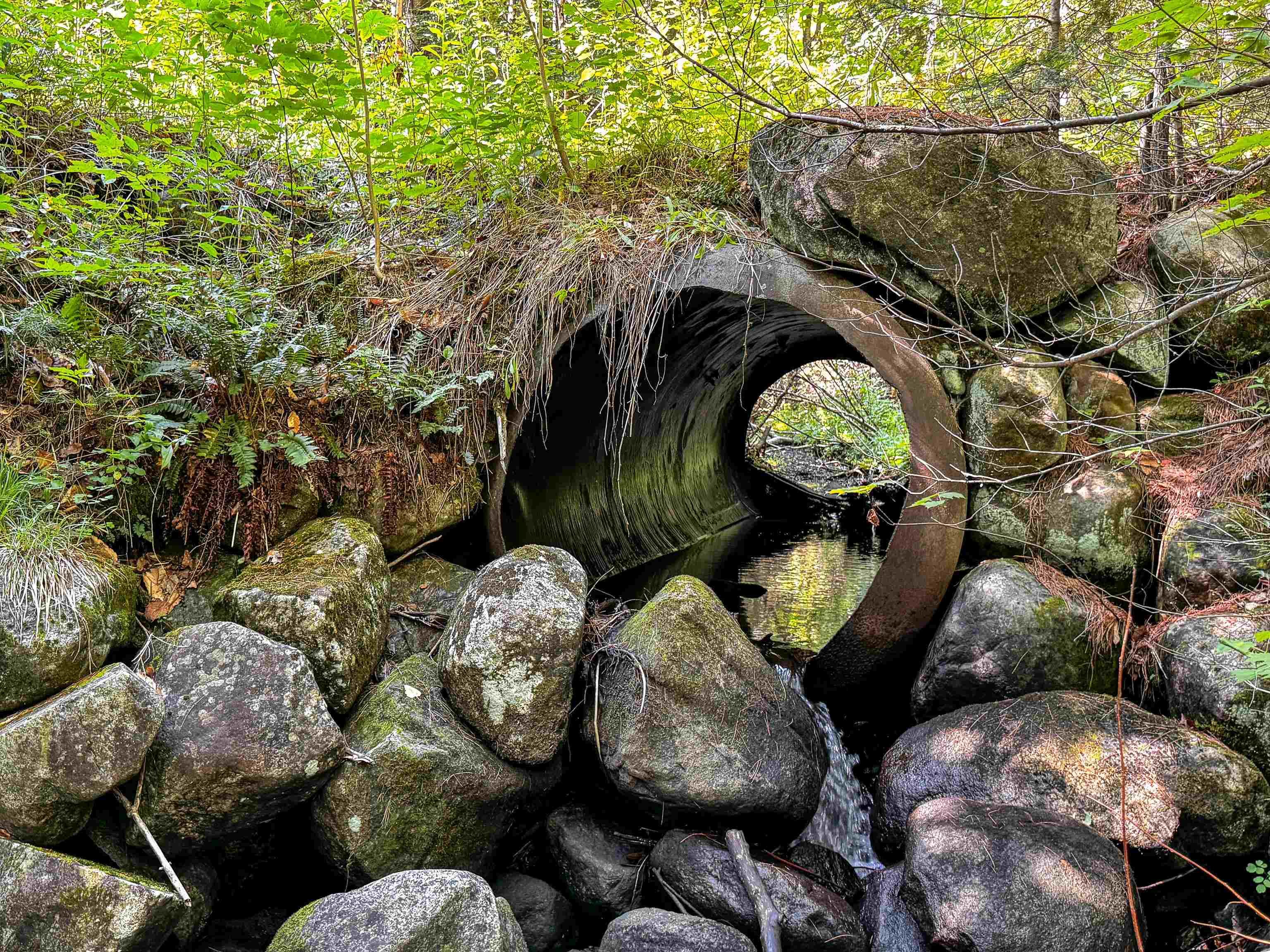 00 Scotch Hollow Rd, Newbury, VT 05051