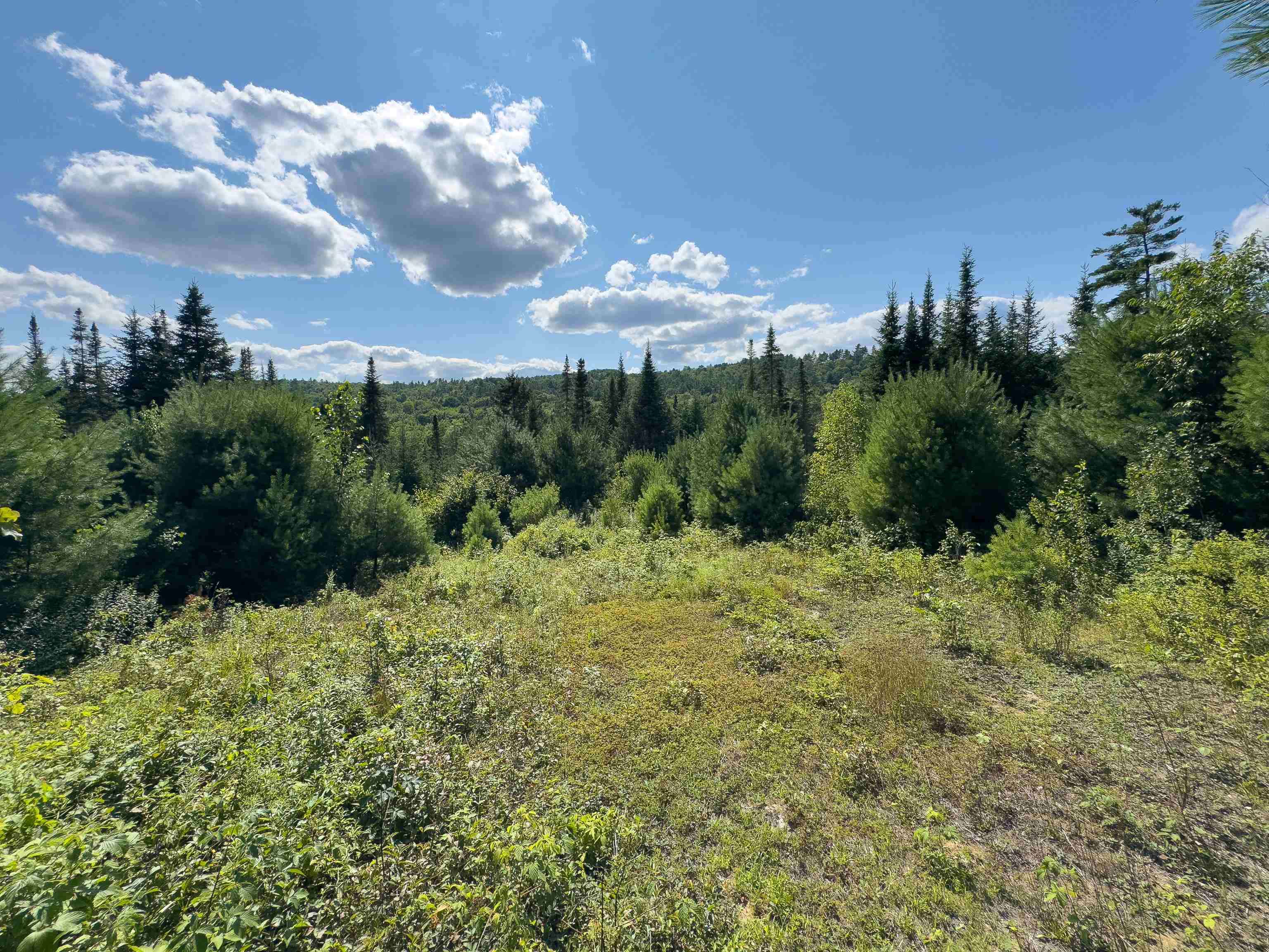 00 Scotch Hollow Rd, Newbury, VT 05051