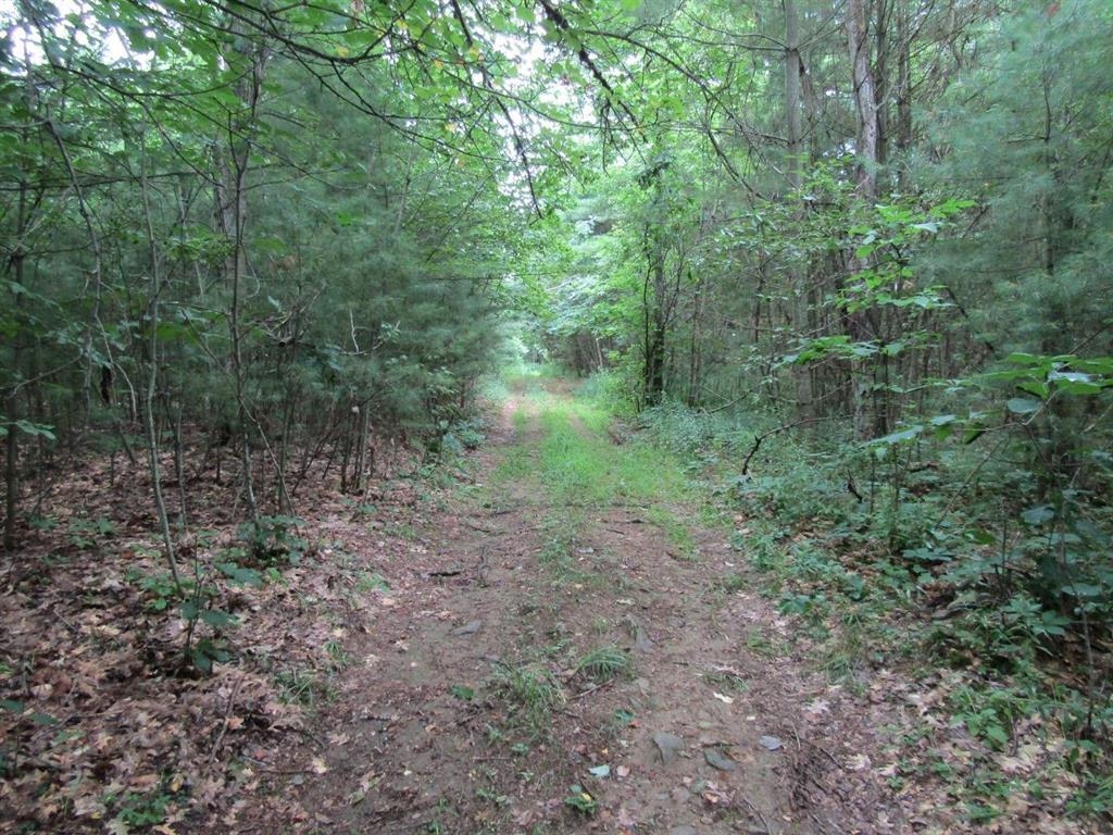 Property photo 13