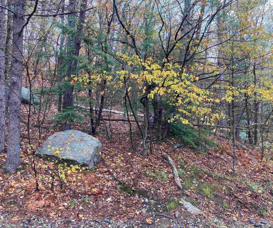 25 Aspen Dr, Madison, NH 03849