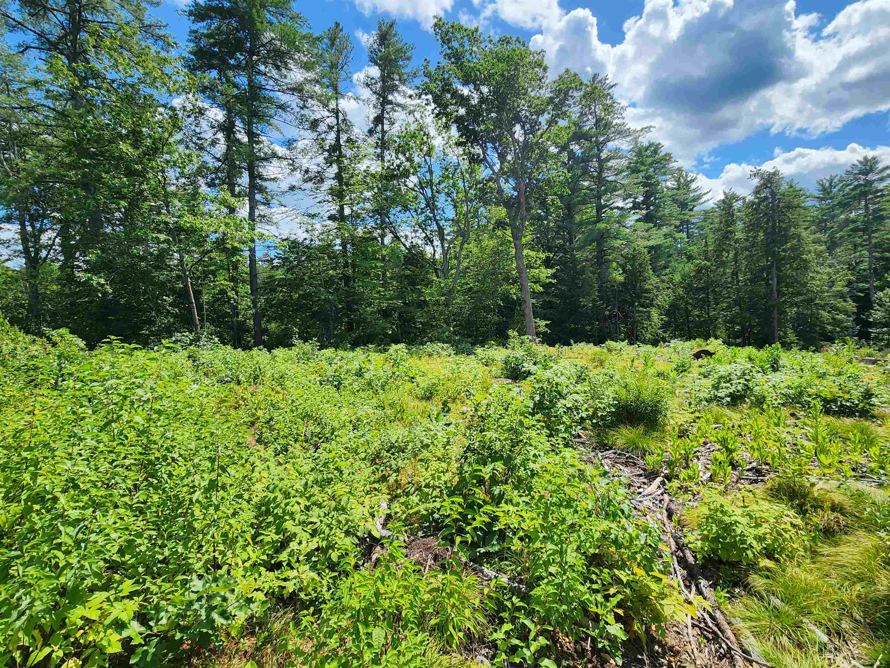 00 Wales Bridge Rd, Loudon, NH 03307